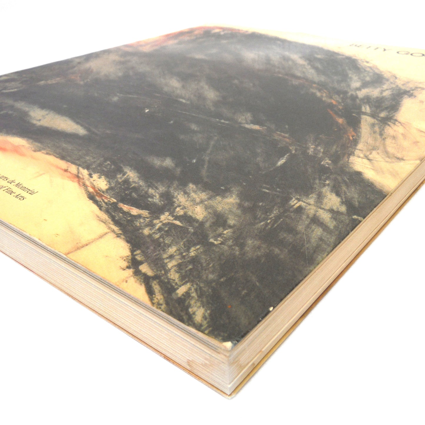 BETTY GOODWIN, Works from 1971 to 1987, by Yolande Racine and The Montreal Museum of Fine Arts (1987 1st Ed.)