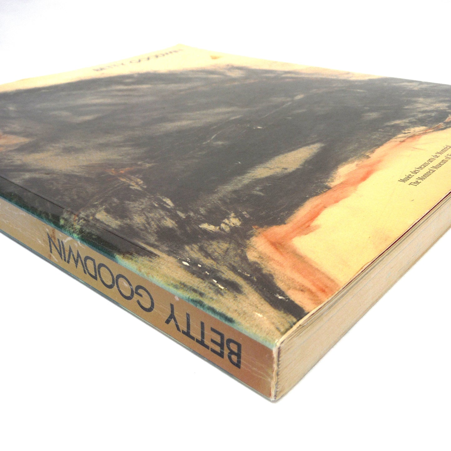 BETTY GOODWIN, Works from 1971 to 1987, by Yolande Racine and The Montreal Museum of Fine Arts (1987 1st Ed.)