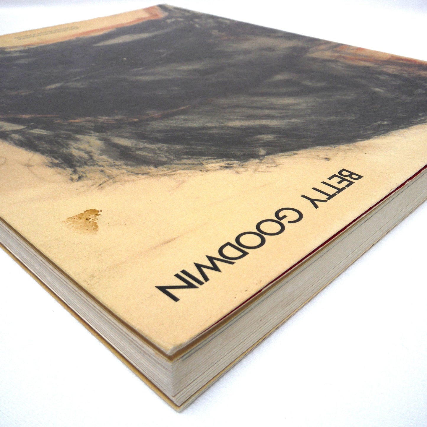 BETTY GOODWIN, Works from 1971 to 1987, by Yolande Racine and The Montreal Museum of Fine Arts (1987 1st Ed.)