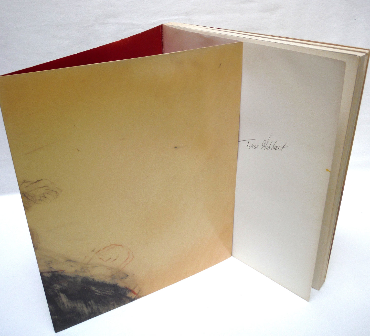 BETTY GOODWIN, Works from 1971 to 1987, by Yolande Racine and The Montreal Museum of Fine Arts (1987 1st Ed.)