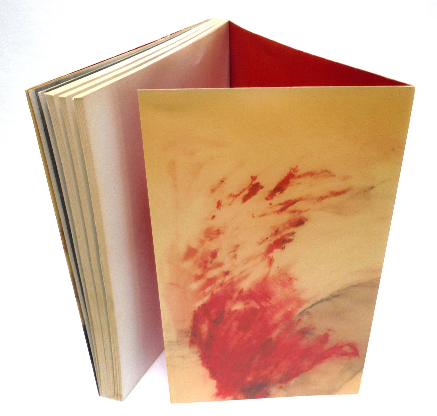 BETTY GOODWIN, Works from 1971 to 1987, by Yolande Racine and The Montreal Museum of Fine Arts (1987 1st Ed.)