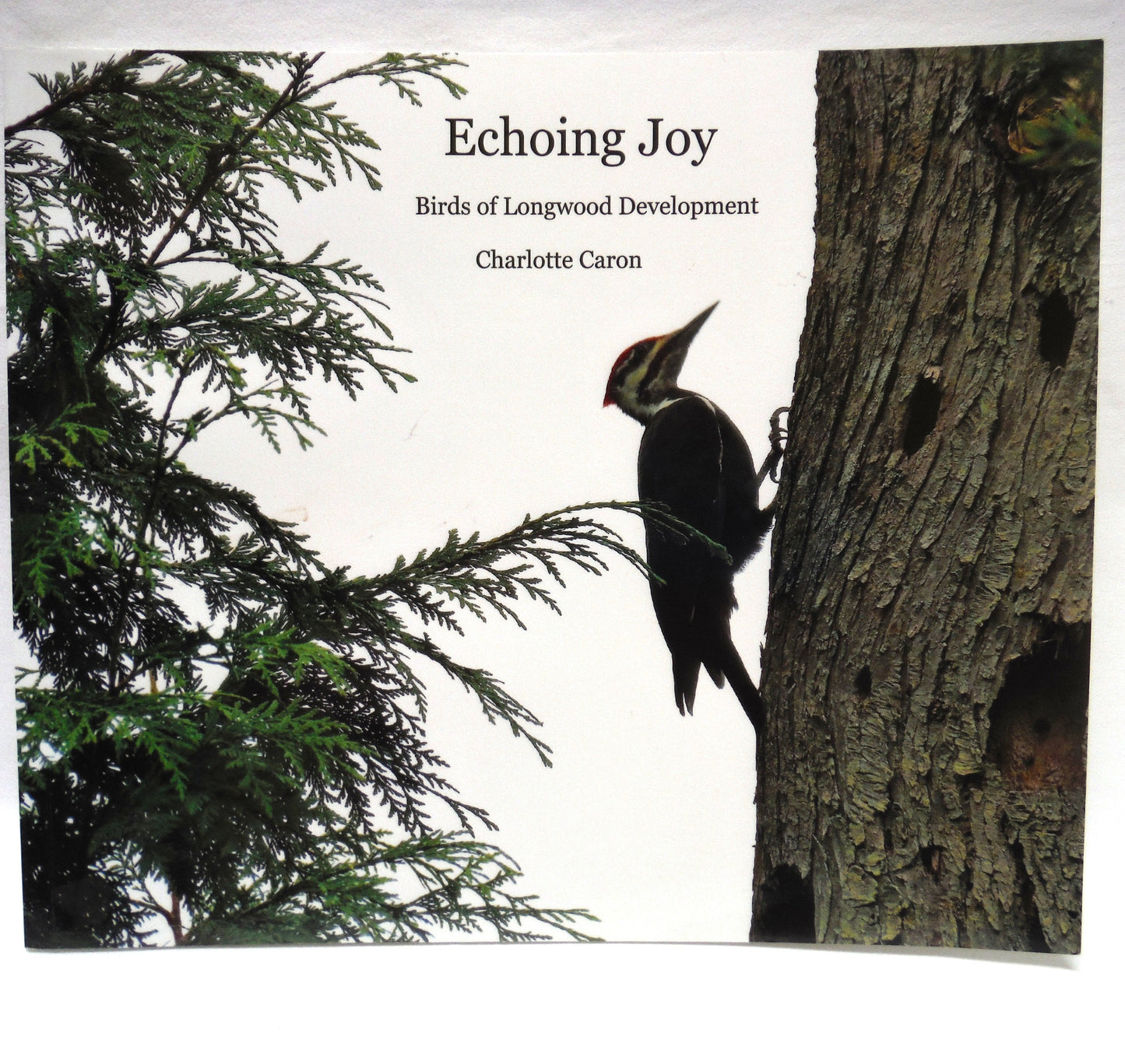 ECHOING JOY, Birds of Longwood Development by Charlotte Caron (2017 1st Ed.)