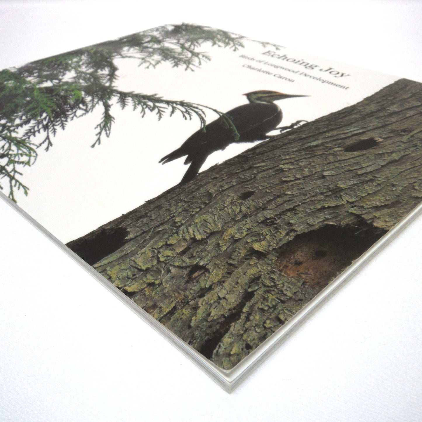 ECHOING JOY, Birds of Longwood Development by Charlotte Caron (2017 1st Ed.)