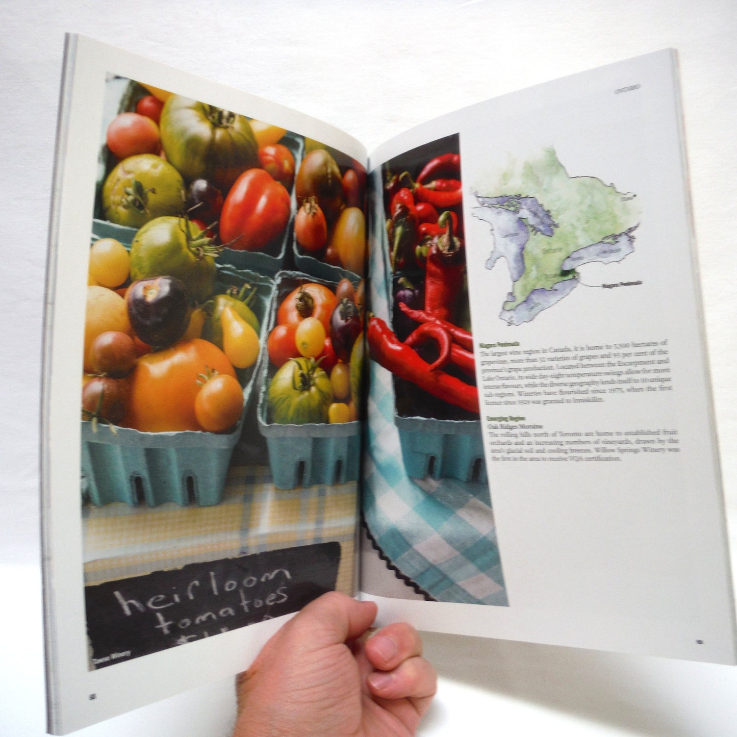 MACLEAN'S WINE IN CANADA MAGAZINE, A Taste of the Regions: Vancouver Island, Okanagon, Similkameen, Niagara, Prince Edward County, Lake Erie North Shore, Eastern Townships, Annapolis Valley, 2014