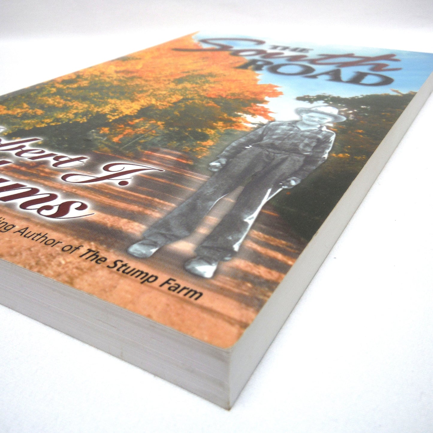 THE SOUTH ROAD, Stories by Robert J. Adams (1st Ed. SIGNED)