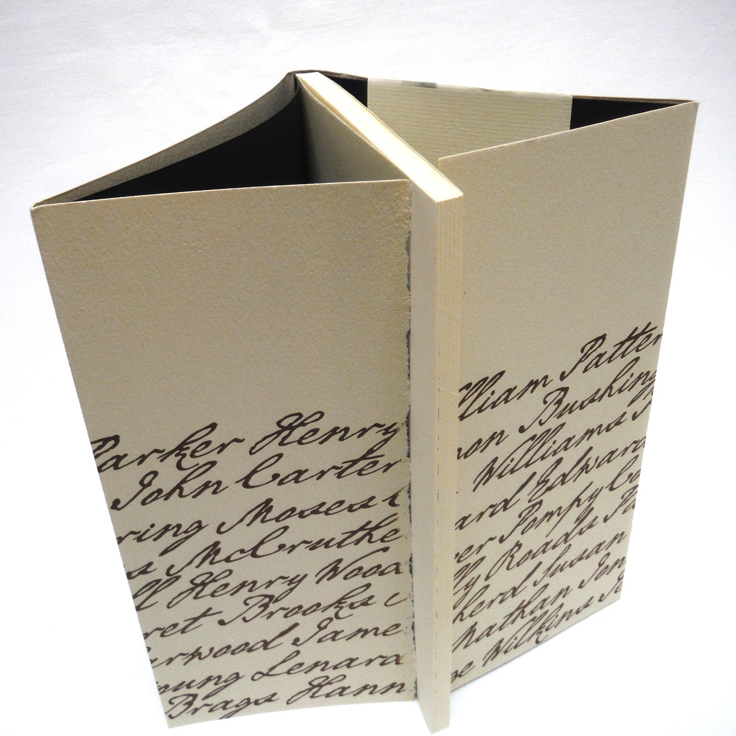 AND I ALONE ESCAPED TO TELL YOU, Poetry by Sylvia D. Hamilton (1st Ed. SIGNED)