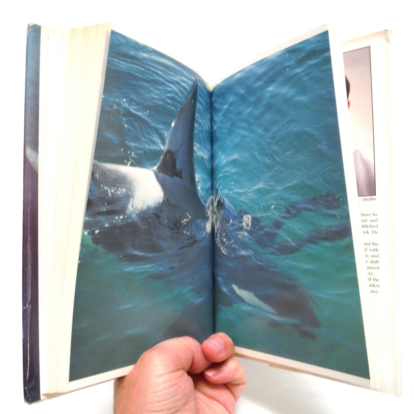 NAMU, Quest For The Killer Whale, by Ted Griffin (1st Ed. SIGNED)