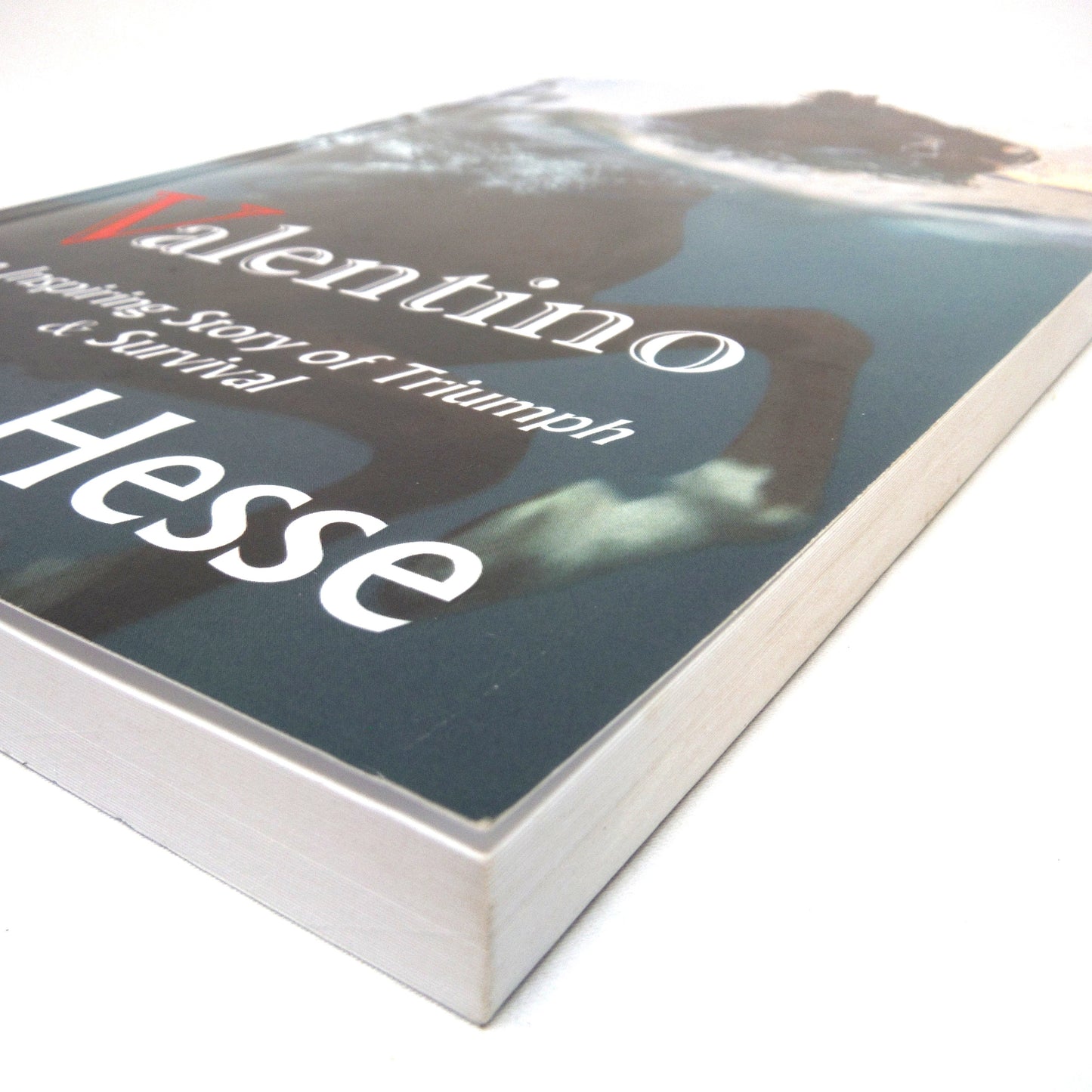 VALENTINO, A Young Readers Inspiring Story of Triumph & Survival, by Laura Hesse (1st Ed. SIGNED)