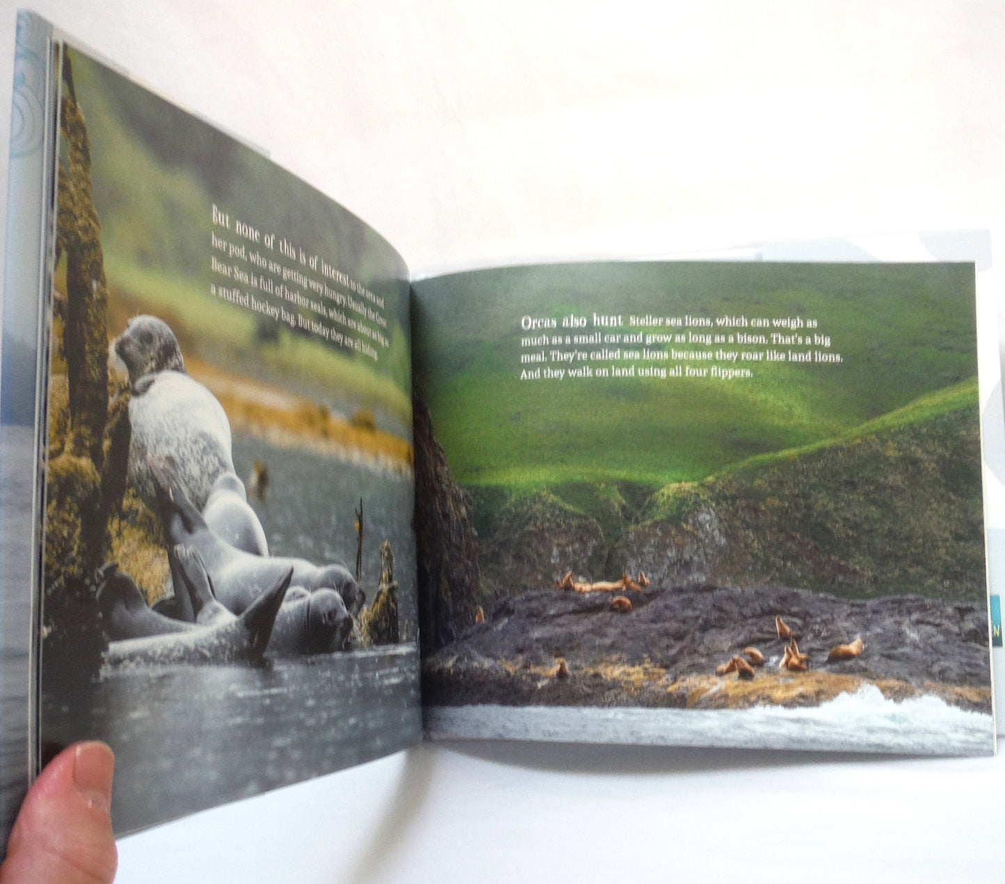 A WHALE'S WORLD, by Ian McAllister & Nicholas Read (2018 1st Ed.)