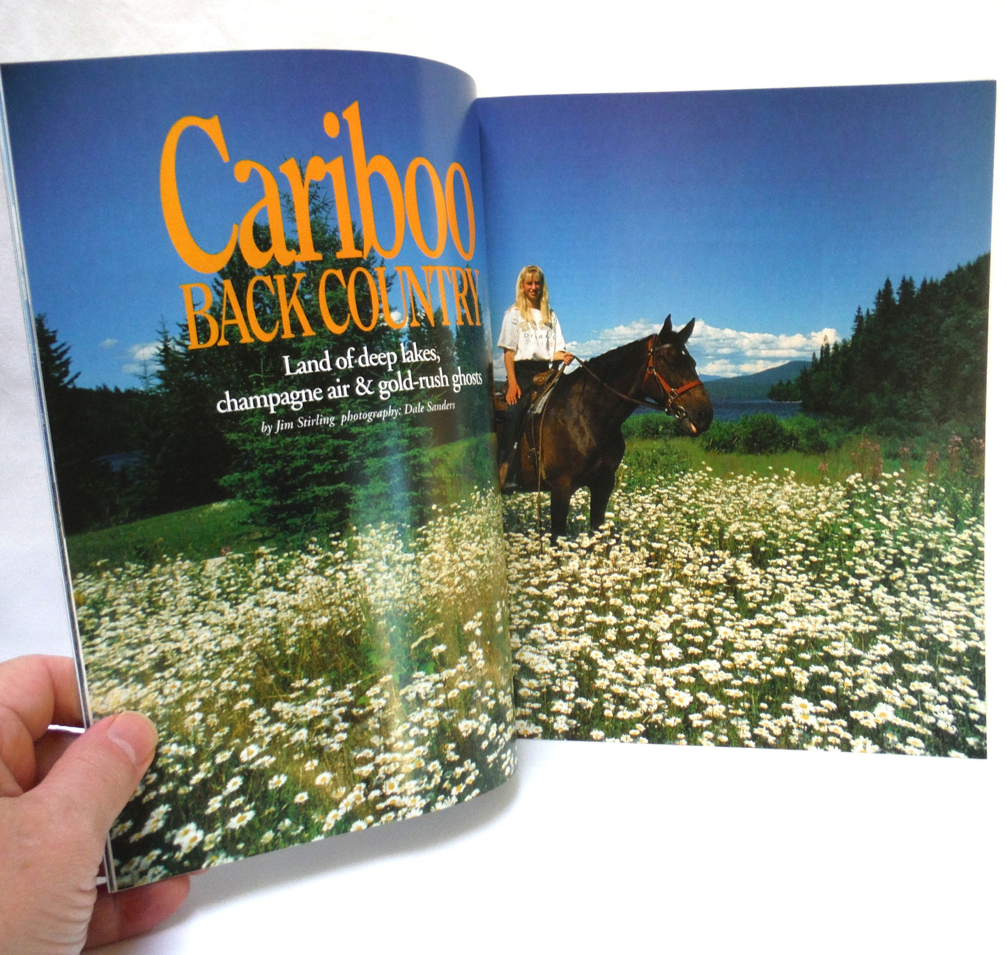 BEAUTIFUL BRITISH COLUMBIA MAGAZINE, Island of the Spirit Bear, Volume 37, Number 2, Summer 1995