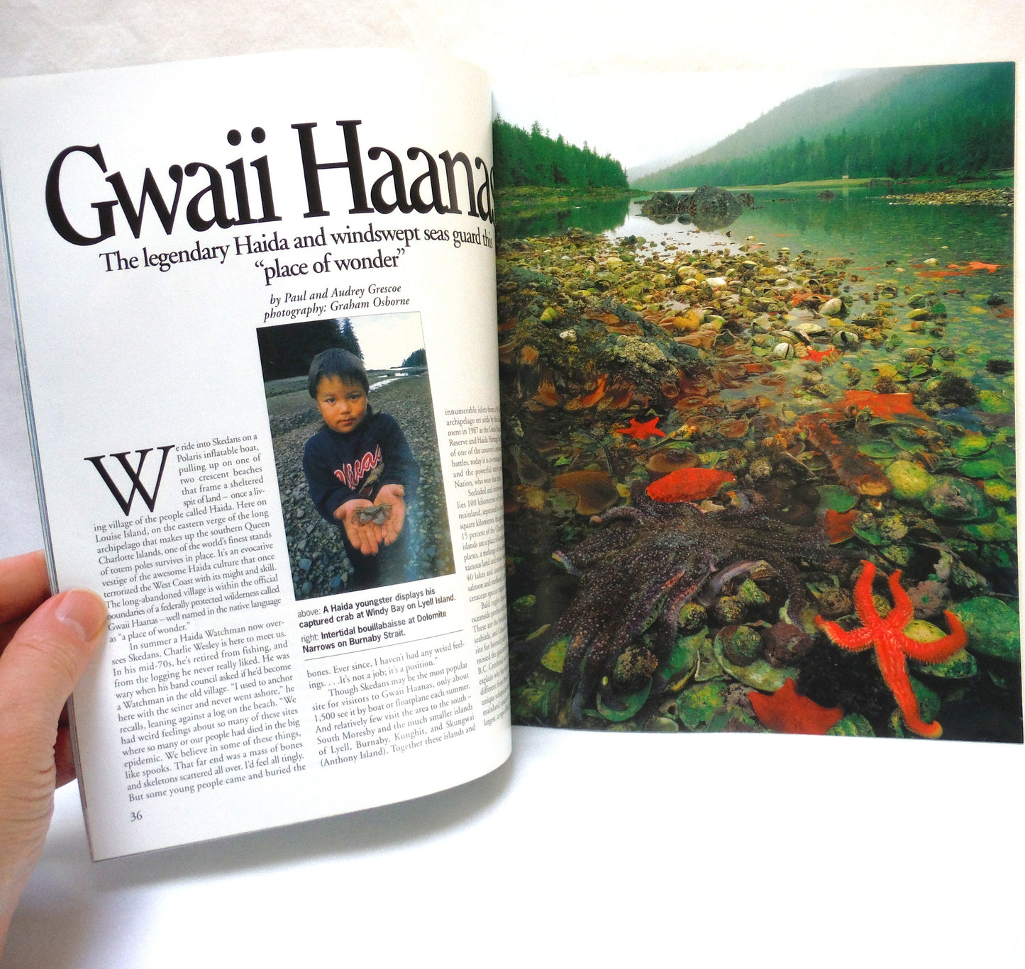 BEAUTIFUL BRITISH COLUMBIA MAGAZINE, What's Killing the Sturgeon?, Volume 37, Number 3, Fall 1995