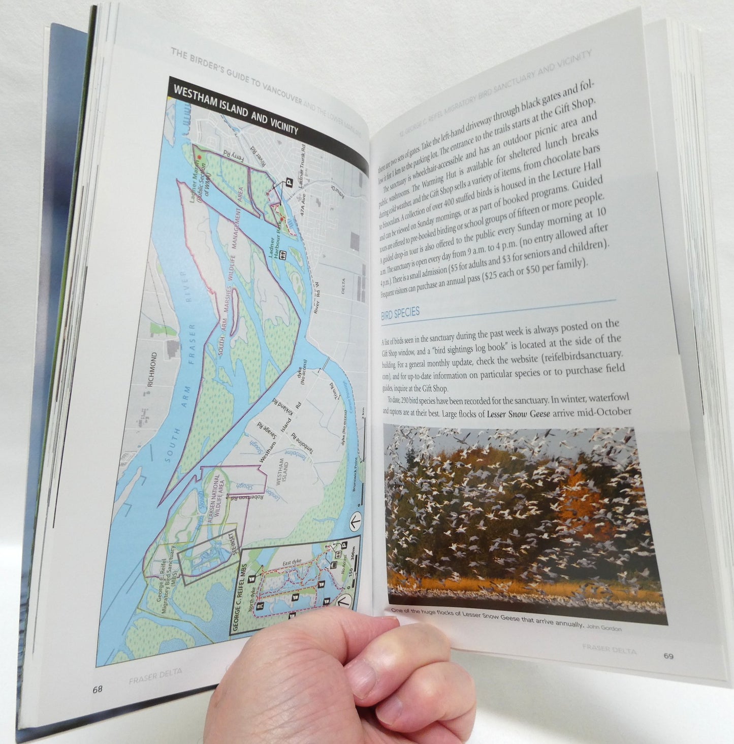 THE BIRDER'S GUIDE TO VANCOUVER AND THE LOWER MAINLAND, By Nature Vancouver (2016 1st Ed.)