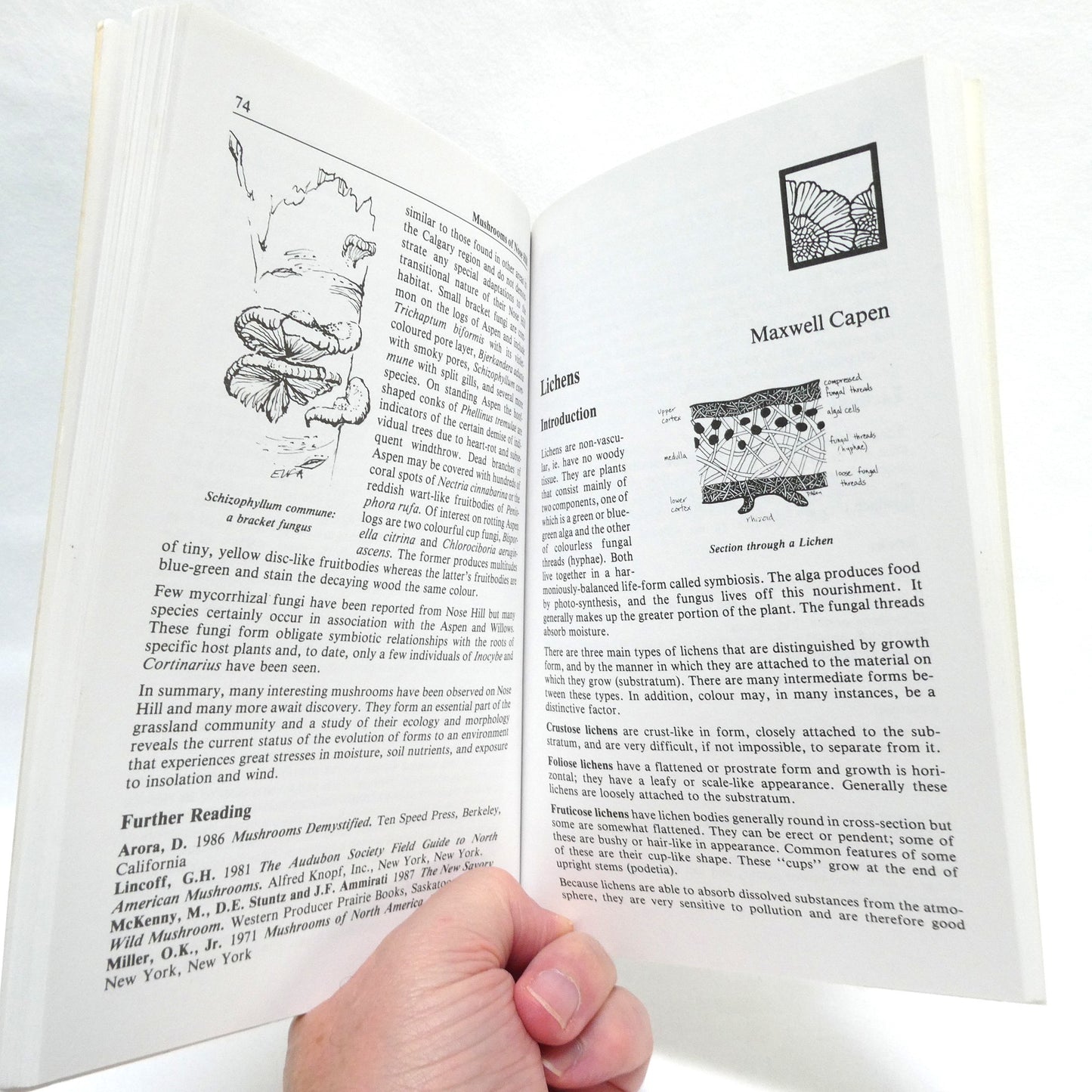 NOSE HILL, A Popular Guide, by The Calgary Field Naturalists' Society (2000 1st Ed.)
