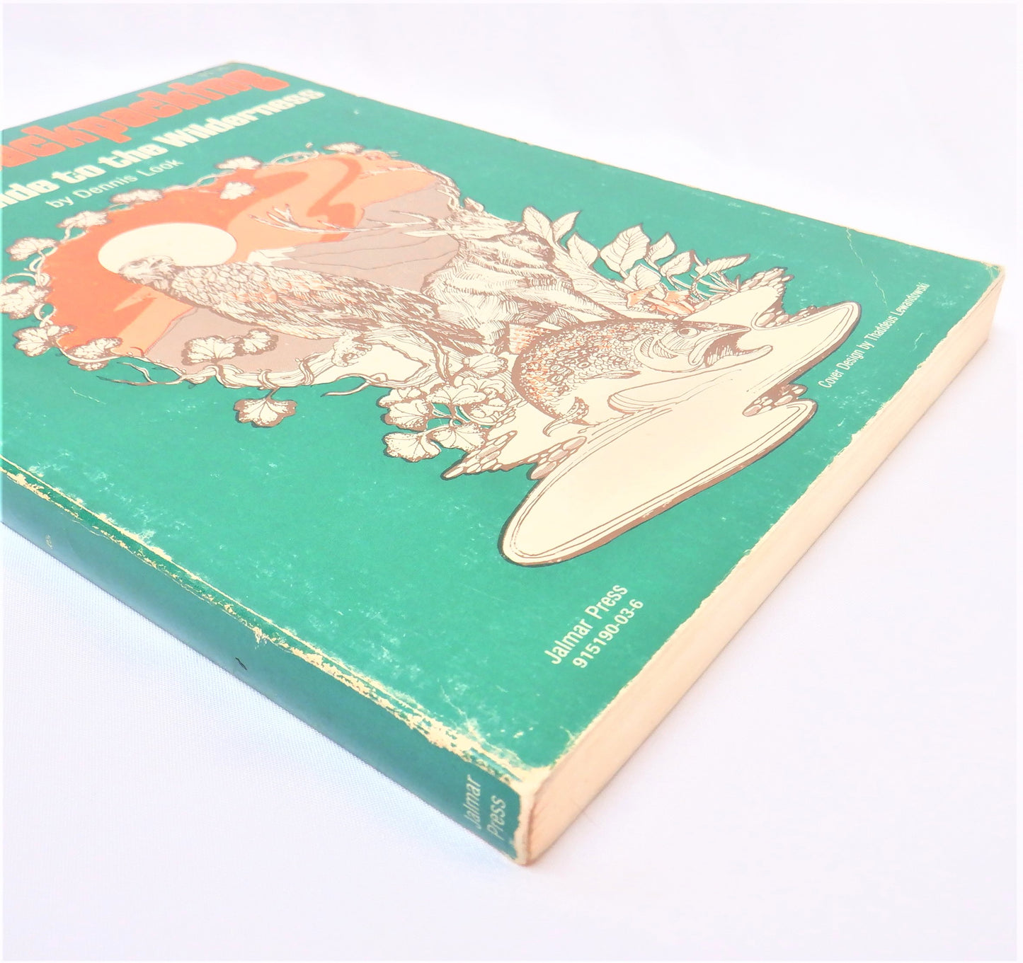 JOY OF BACKPACKING, People's Guide to the Wilderness by Dennis Look (RARE 1976 1st Ed.)