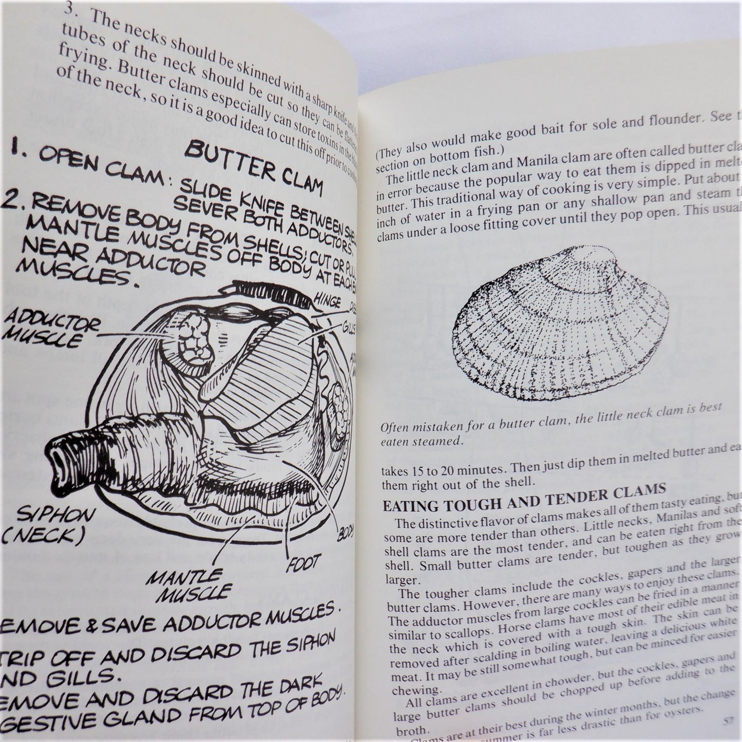 LIVING OFF THE SEA, A Sea Shore Guide by Charlie White, 1985