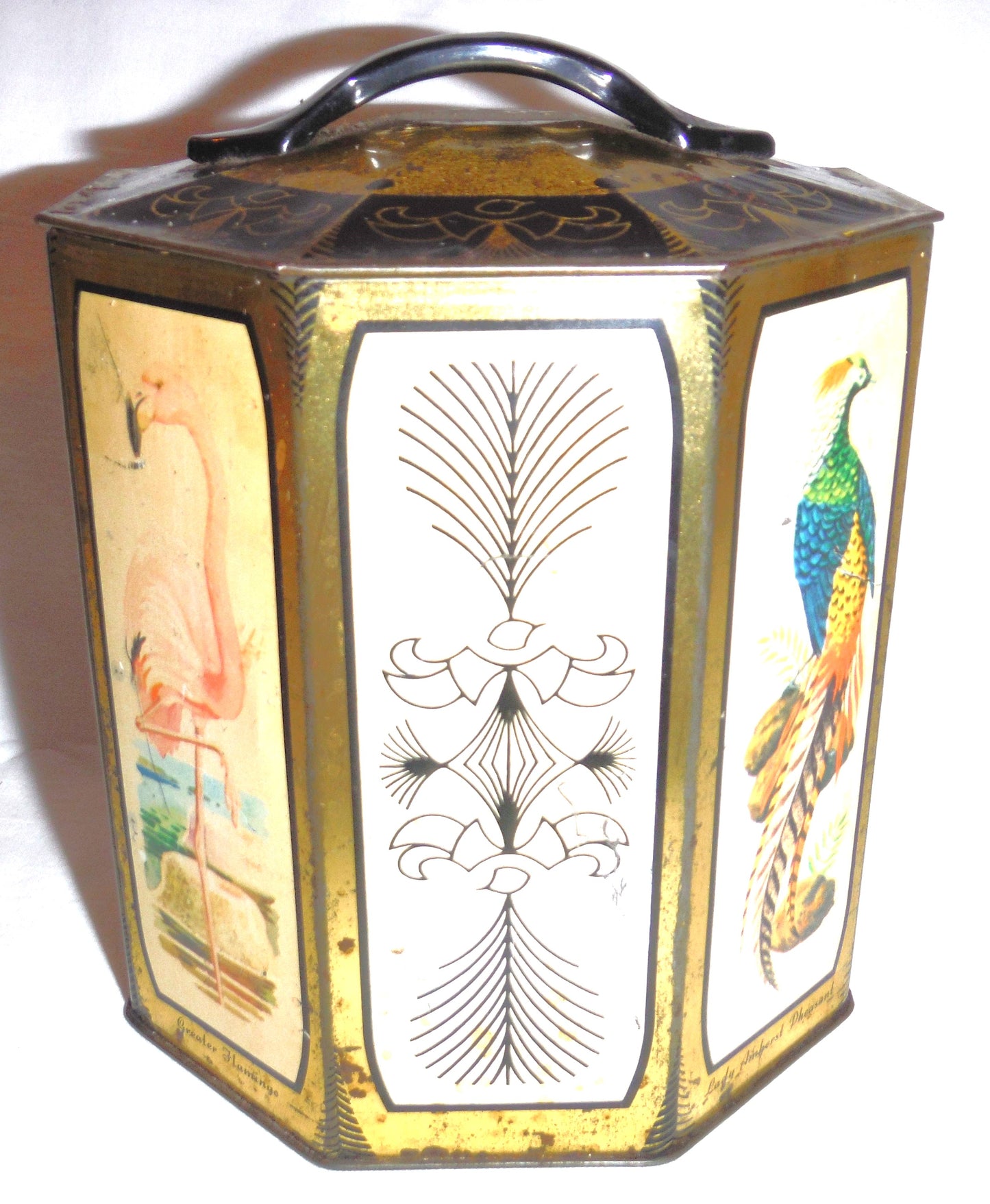 A Vintage Peek, Frean & Company Limited of London, England Tea Caddy: 'Rare Birds-Inspired Tea Caddy'