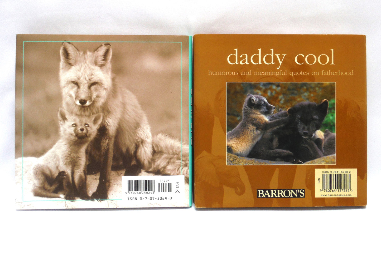 BEST EVER FATHER'S DAY BOOK PACKAGE! A Specially Priced 2-Pack Bundle of DEAR DAD by Bradley Trevor Greive, and DADDY COOL by Tom Burns