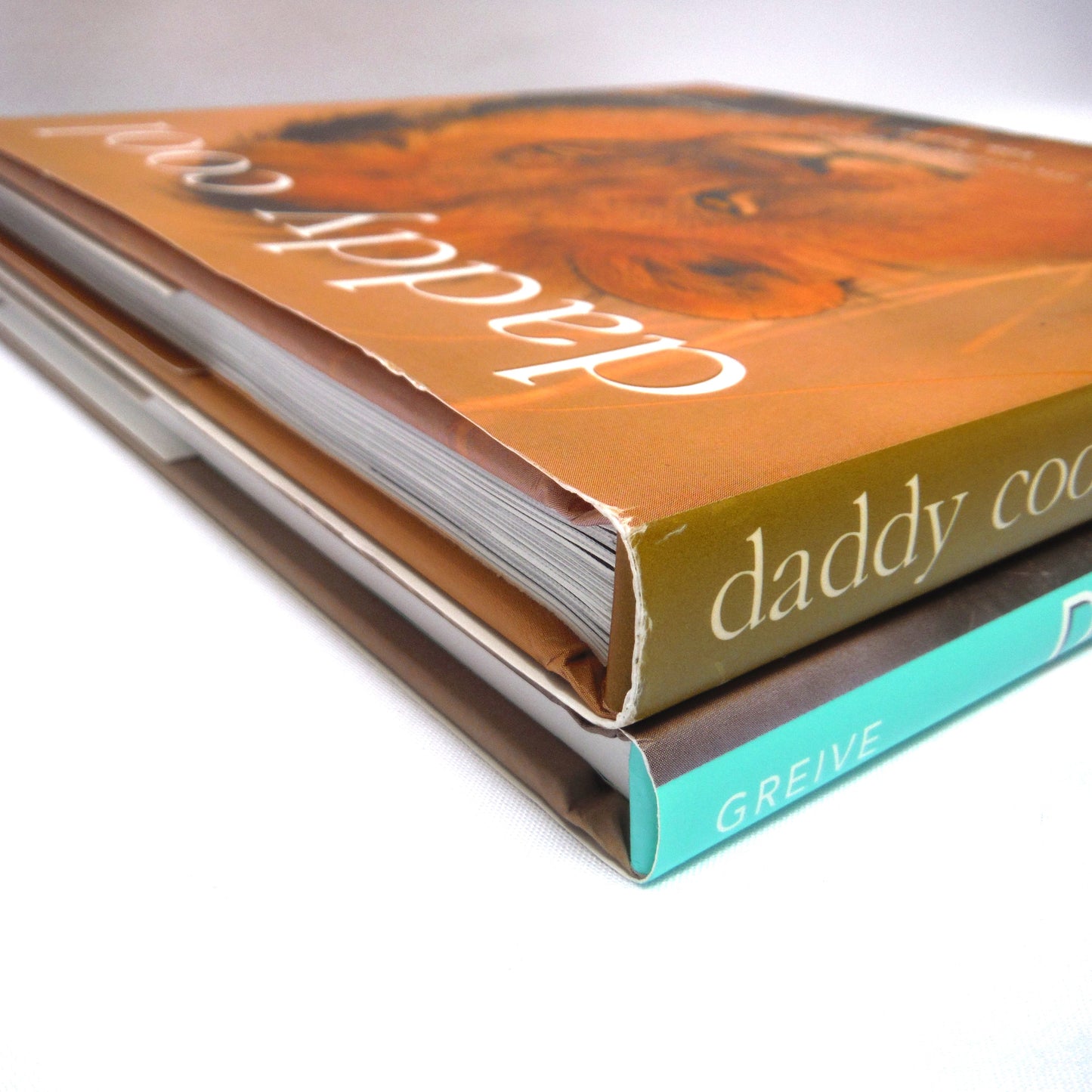 BEST EVER FATHER'S DAY BOOK PACKAGE! A Specially Priced 2-Pack Bundle of DEAR DAD by Bradley Trevor Greive, and DADDY COOL by Tom Burns