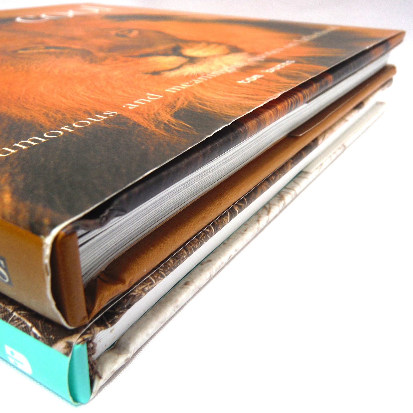 BEST EVER FATHER'S DAY BOOK PACKAGE! A Specially Priced 2-Pack Bundle of DEAR DAD by Bradley Trevor Greive, and DADDY COOL by Tom Burns