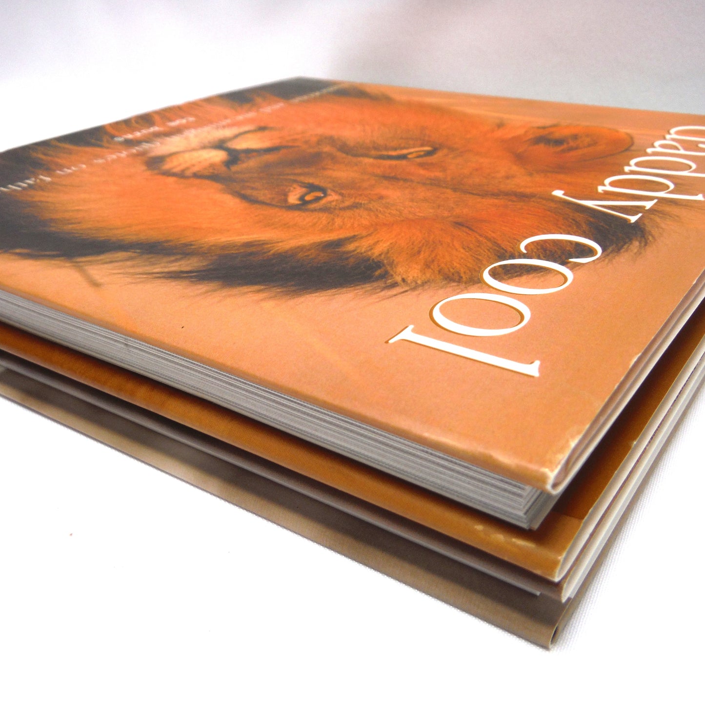 BEST EVER FATHER'S DAY BOOK PACKAGE! A Specially Priced 2-Pack Bundle of DEAR DAD by Bradley Trevor Greive, and DADDY COOL by Tom Burns