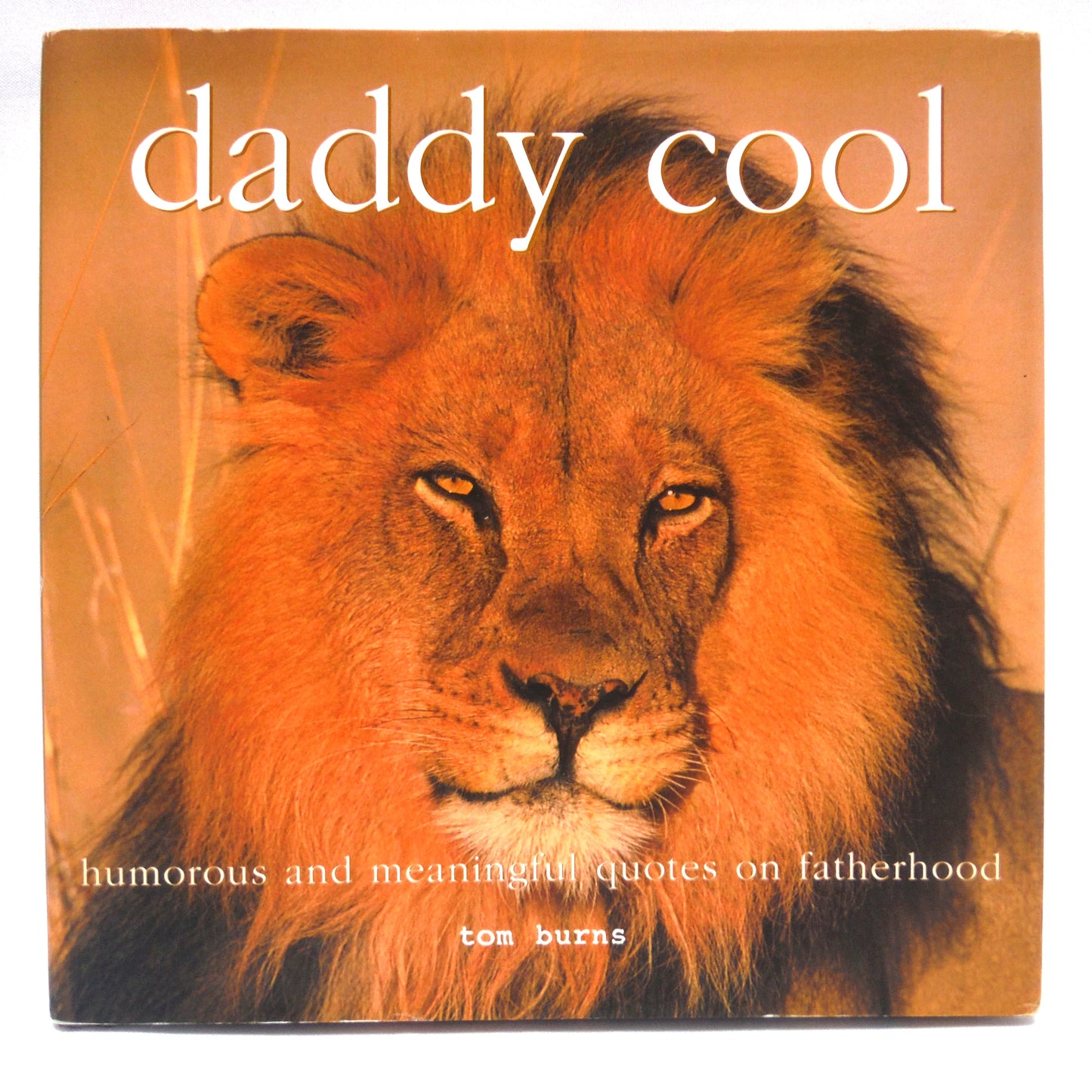 BEST EVER FATHER'S DAY BOOK PACKAGE! A Specially Priced 2-Pack Bundle of DEAR DAD by Bradley Trevor Greive, and DADDY COOL by Tom Burns