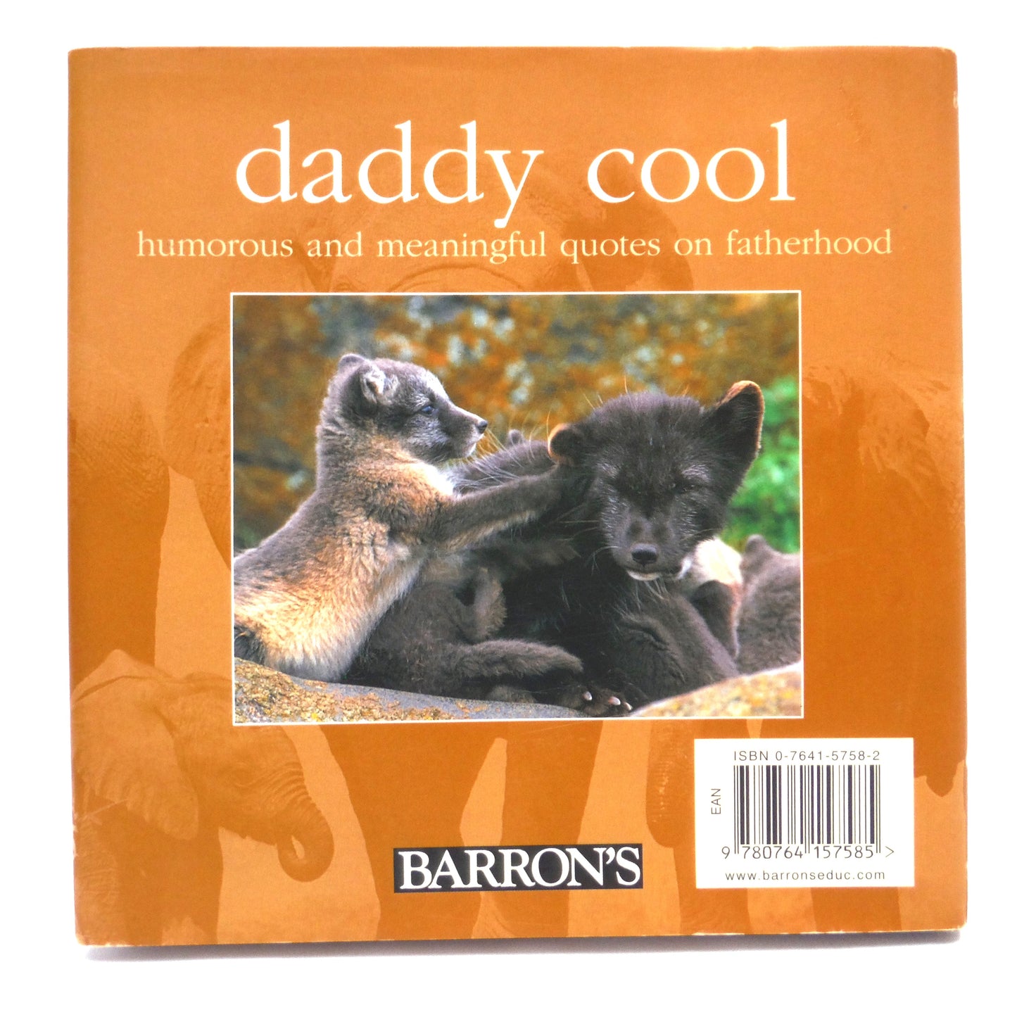 BEST EVER FATHER'S DAY BOOK PACKAGE! A Specially Priced 2-Pack Bundle of DEAR DAD by Bradley Trevor Greive, and DADDY COOL by Tom Burns