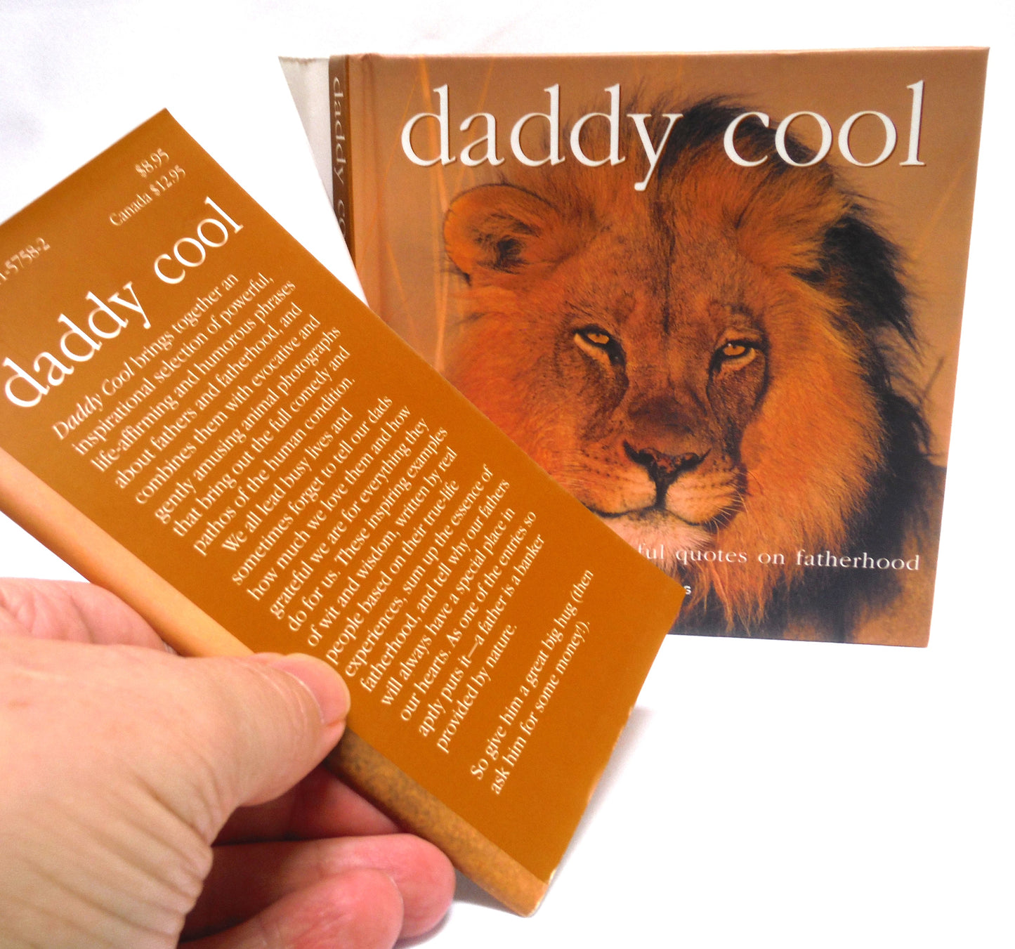 BEST EVER FATHER'S DAY BOOK PACKAGE! A Specially Priced 2-Pack Bundle of DEAR DAD by Bradley Trevor Greive, and DADDY COOL by Tom Burns