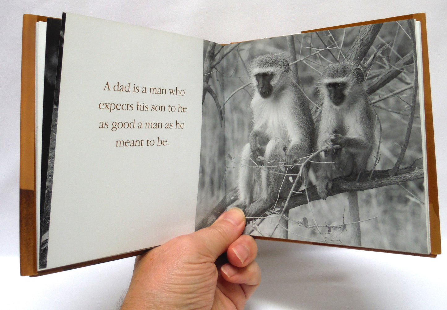 BEST EVER FATHER'S DAY BOOK PACKAGE! A Specially Priced 2-Pack Bundle of DEAR DAD by Bradley Trevor Greive, and DADDY COOL by Tom Burns