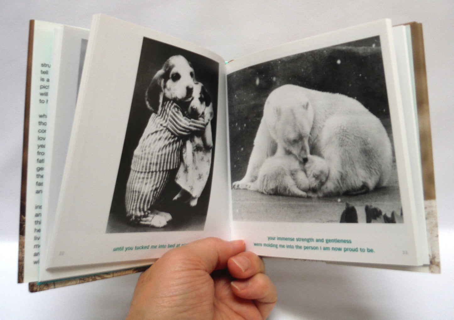 BEST EVER FATHER'S DAY BOOK PACKAGE! A Specially Priced 2-Pack Bundle of DEAR DAD by Bradley Trevor Greive, and DADDY COOL by Tom Burns