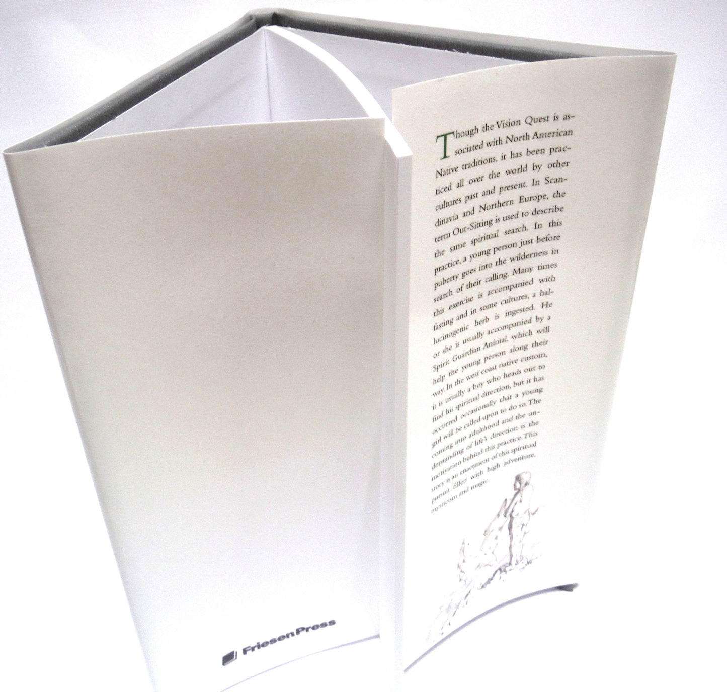 HER VISION QUEST, Young Reader Novels by Tim Haley: ULTRA RARE Three-Book-Author-Signed Package, including A MEMORY CALLING, A DESCENT UNRAVELLING and AN ASCENT ASPIRING (ALL 1st Ed. SIGNED)