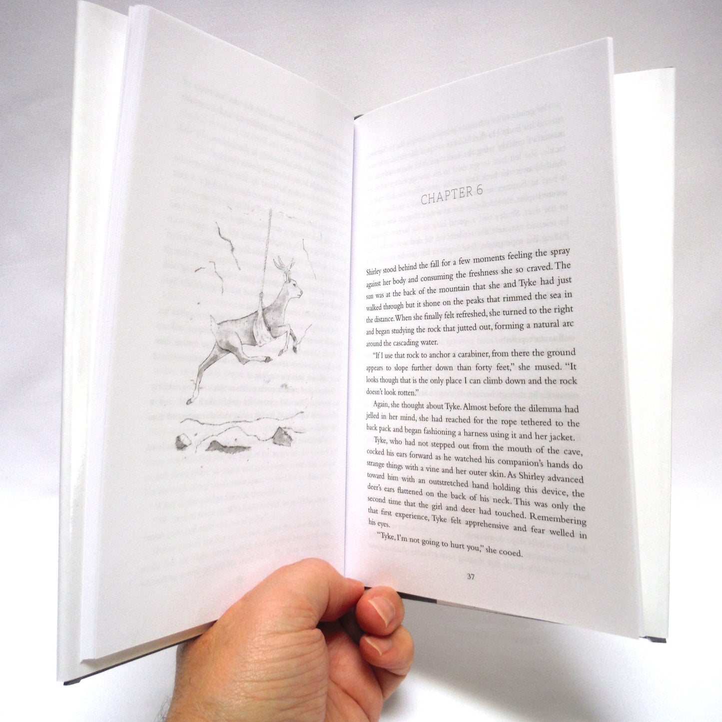 HER VISION QUEST, Young Reader Novels by Tim Haley: ULTRA RARE Three-Book-Author-Signed Package, including A MEMORY CALLING, A DESCENT UNRAVELLING and AN ASCENT ASPIRING (ALL 1st Ed. SIGNED)