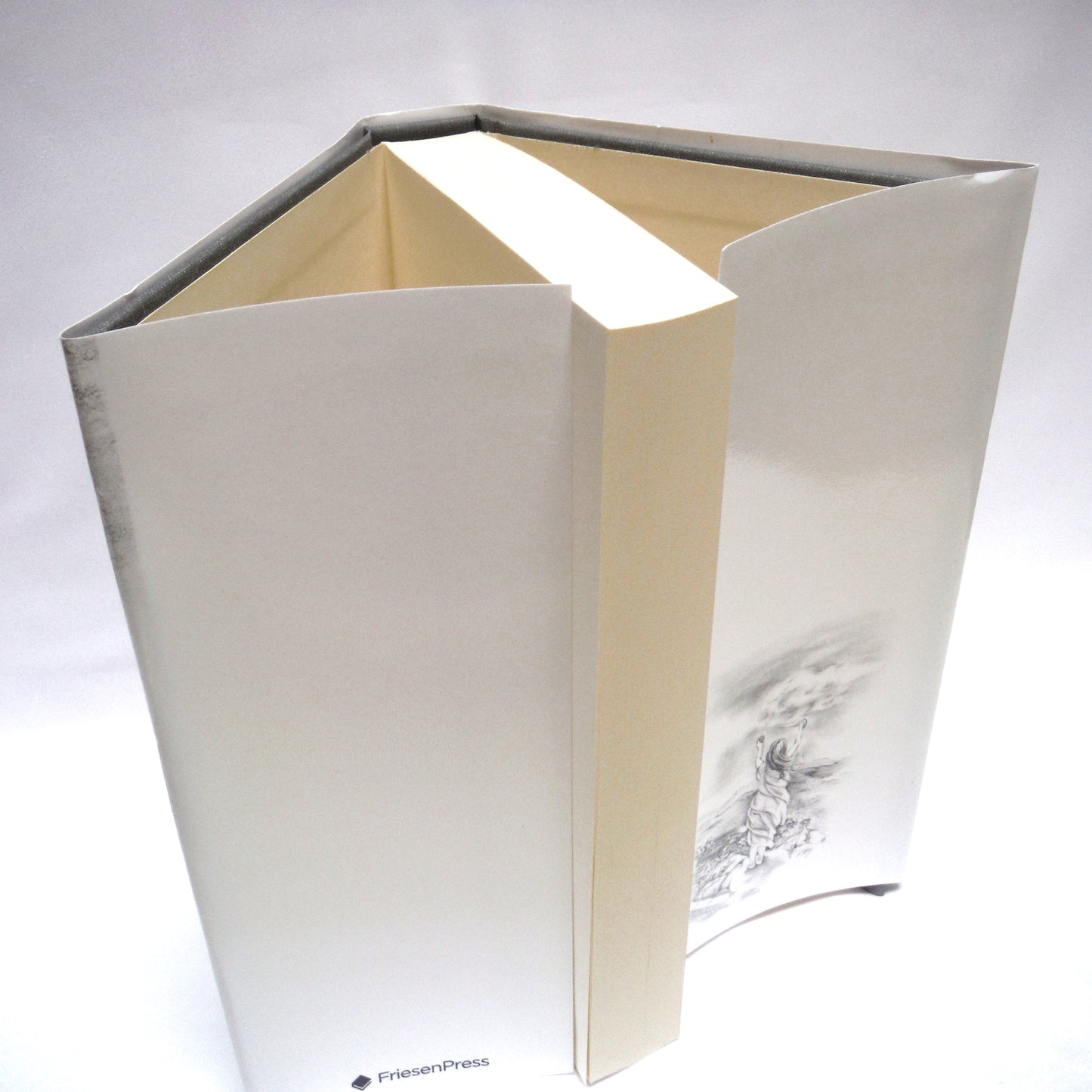HER VISION QUEST, Young Reader Novels by Tim Haley: ULTRA RARE Three-Book-Author-Signed Package, including A MEMORY CALLING, A DESCENT UNRAVELLING and AN ASCENT ASPIRING (ALL 1st Ed. SIGNED)