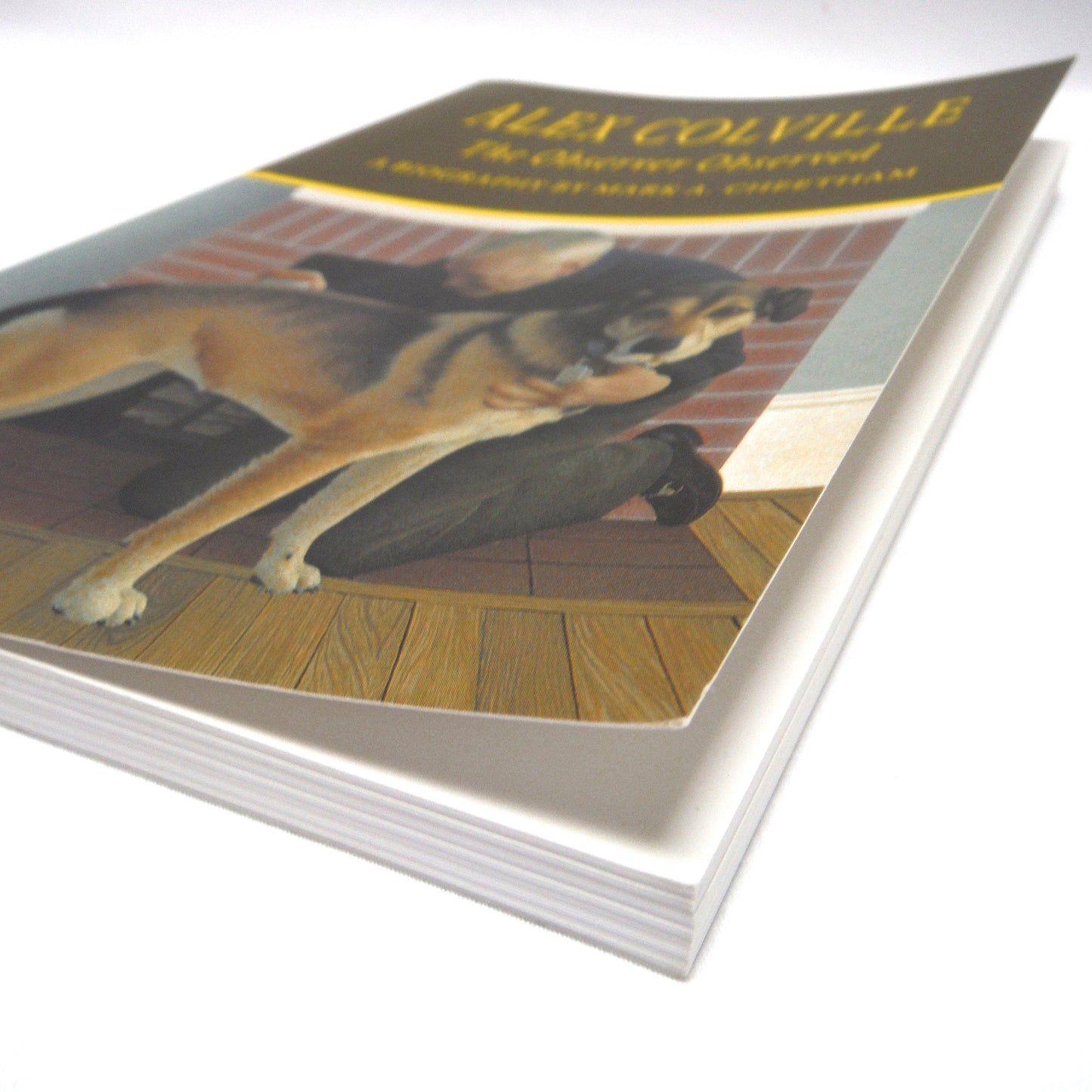 ALEX COLVILLE: THE OBSERVER OBSERVED, A Biography by Mark A.Cheetham (1994 1st Ed.)