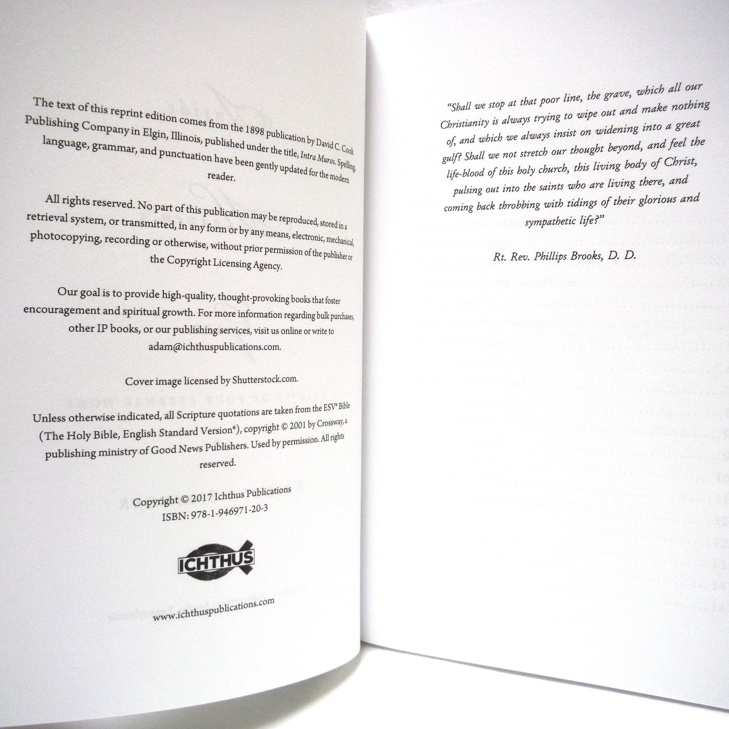INSIDE HEAVEN'S GATES, A Glimpse of Your Eternal Home, by Rebecca Springer (2017 1st Ed.)