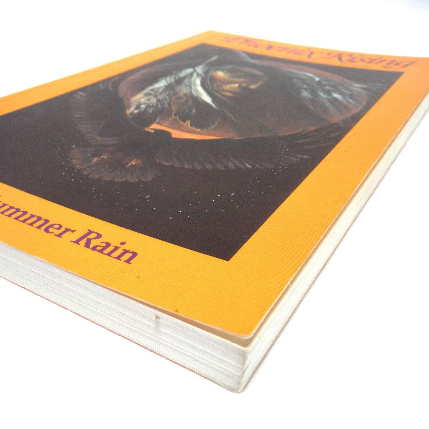 PHOENIX RISING, No-Eyes' Vision Of the Changes To Come, by Mary Summer Rain (1993 1st Ed.)