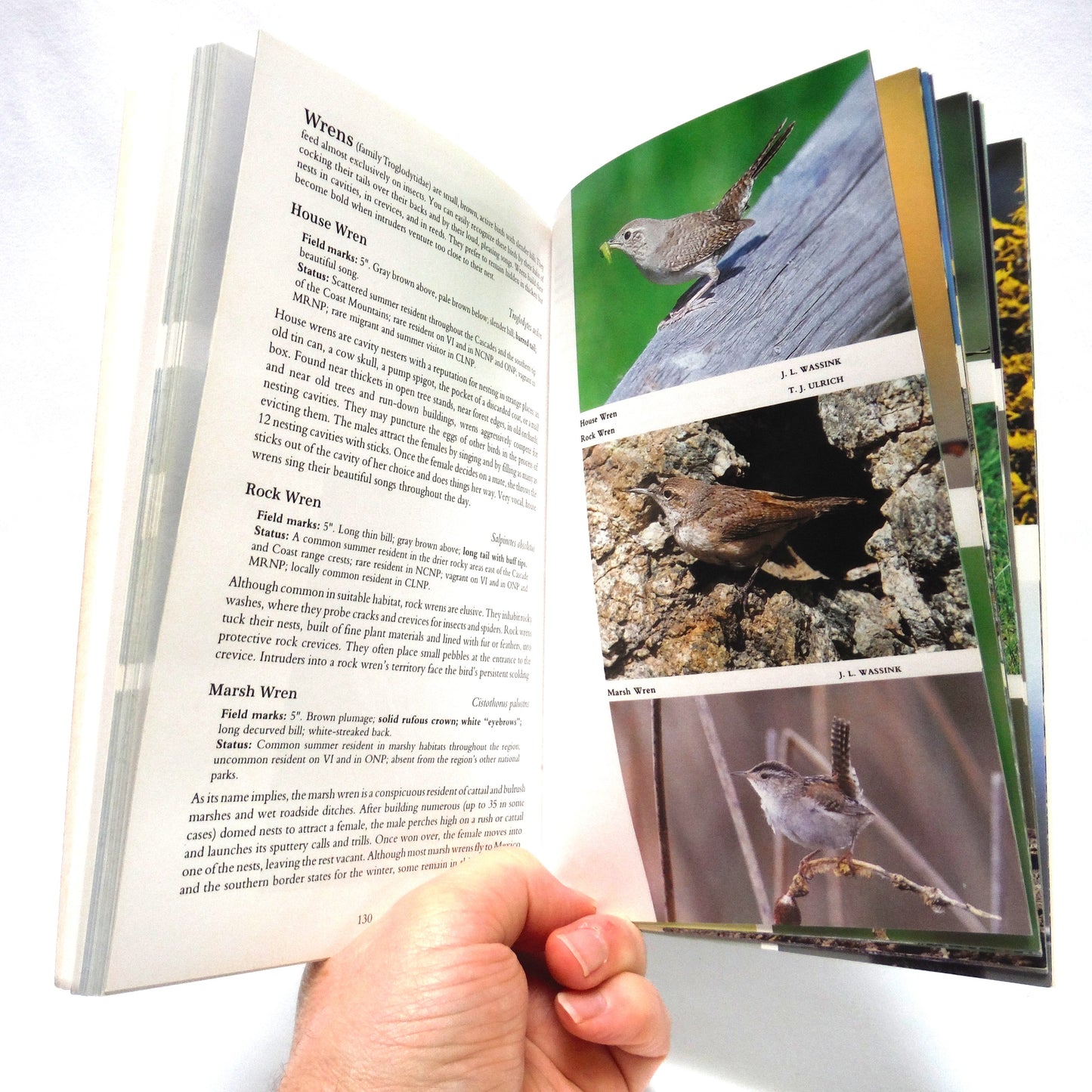 BIRDS OF THE PACIFIC NORTHWEST MOUNTAINS, by Jan l. Wassink (1996 1st Ed.)
