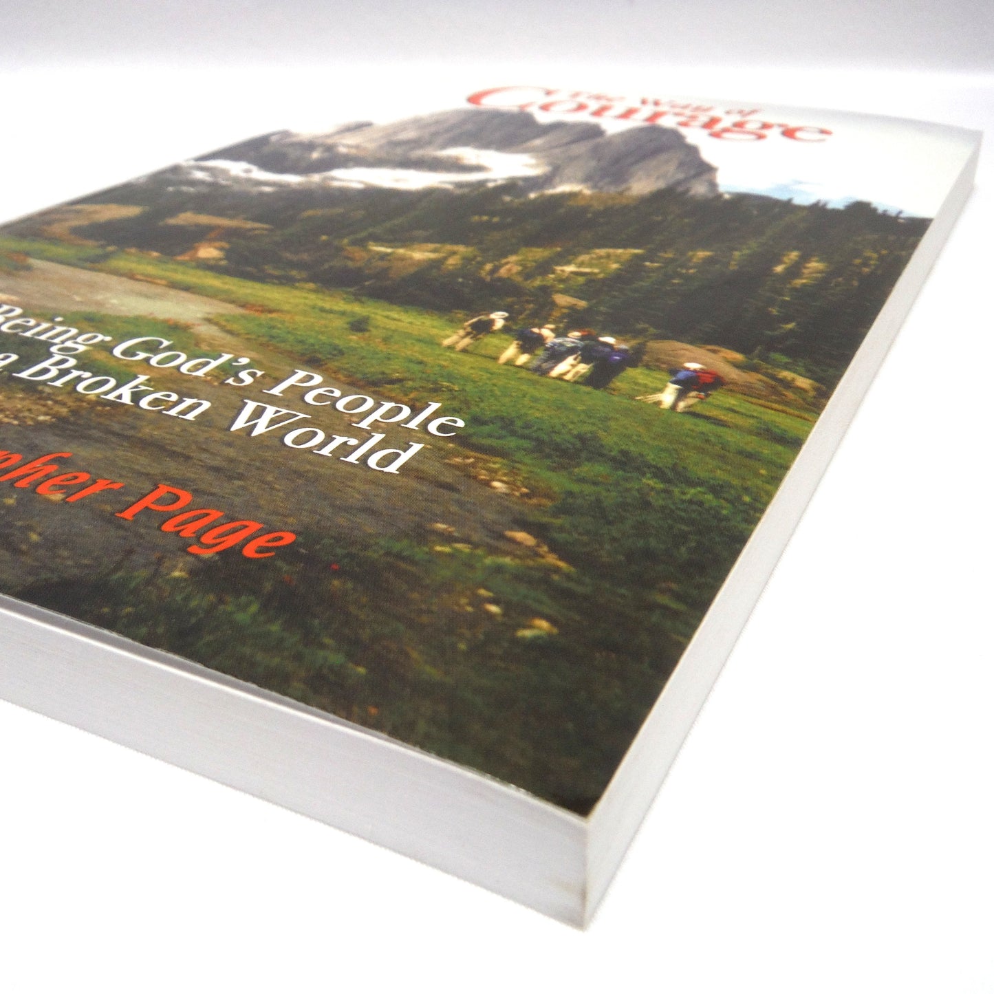 THE WAY OF COURAGE, Being God's People in a Broken World, by Christopher Page (1st Ed. SIGNED)