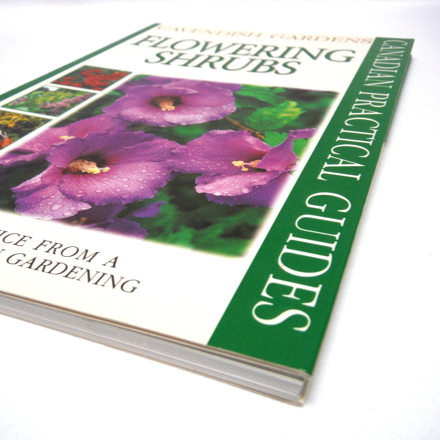 FLOWERING SHRUBS, Cavendish Gardens Canadian Practical Guides, by Charles Chesshire (1999 1st Ed.)