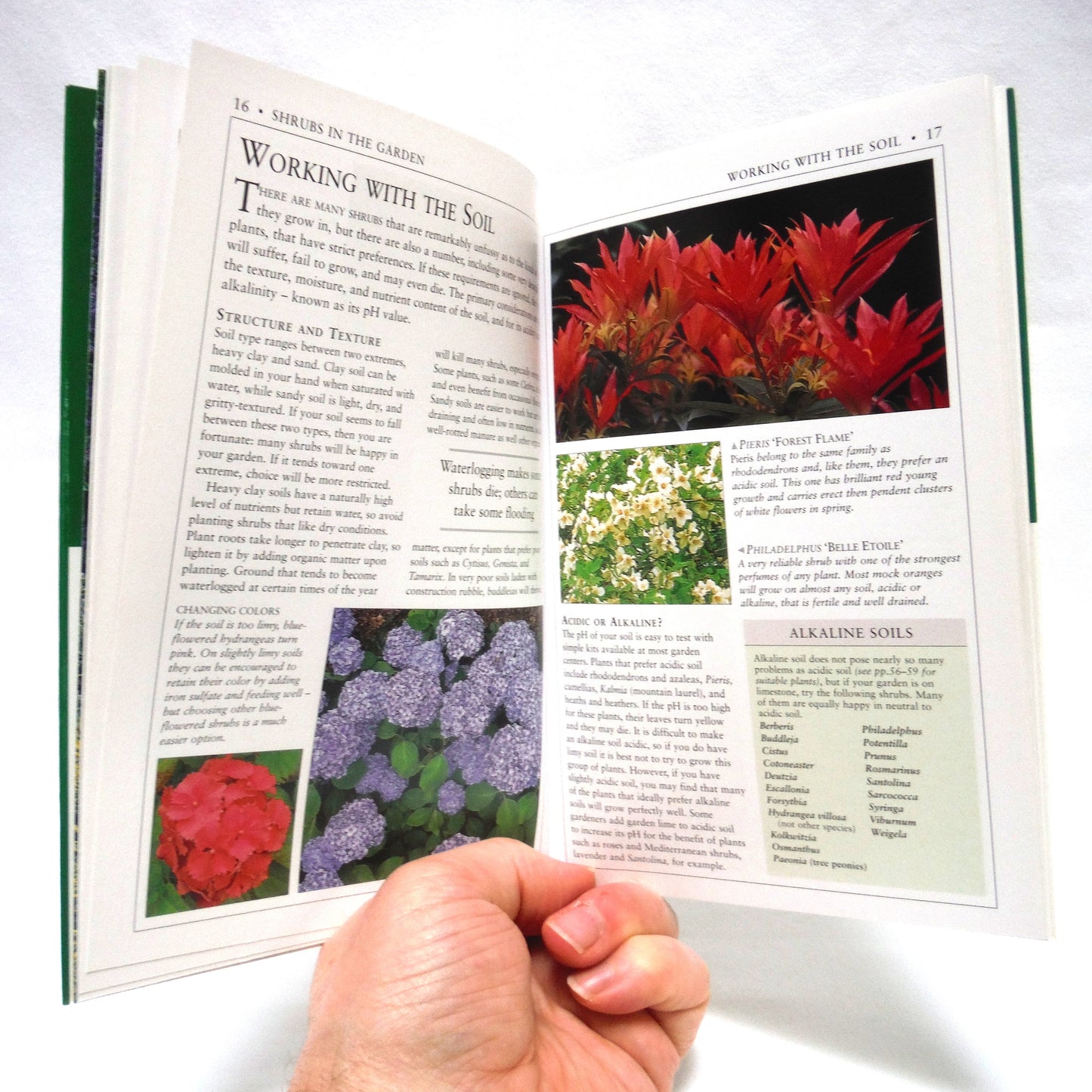 FLOWERING SHRUBS, Cavendish Gardens Canadian Practical Guides, by Charles Chesshire (1999 1st Ed.)
