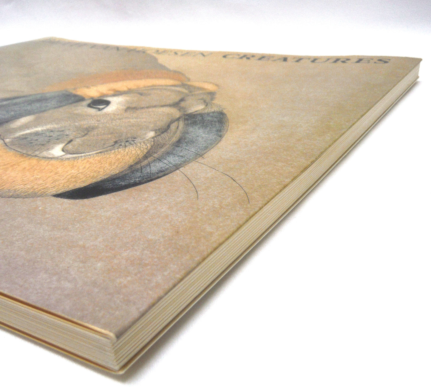 CREATURES: THE ART OF SEEING ANIMALS, Prints, Drawings, and Watercolors by Beth Van Hoesen (1987 1st Ed.)