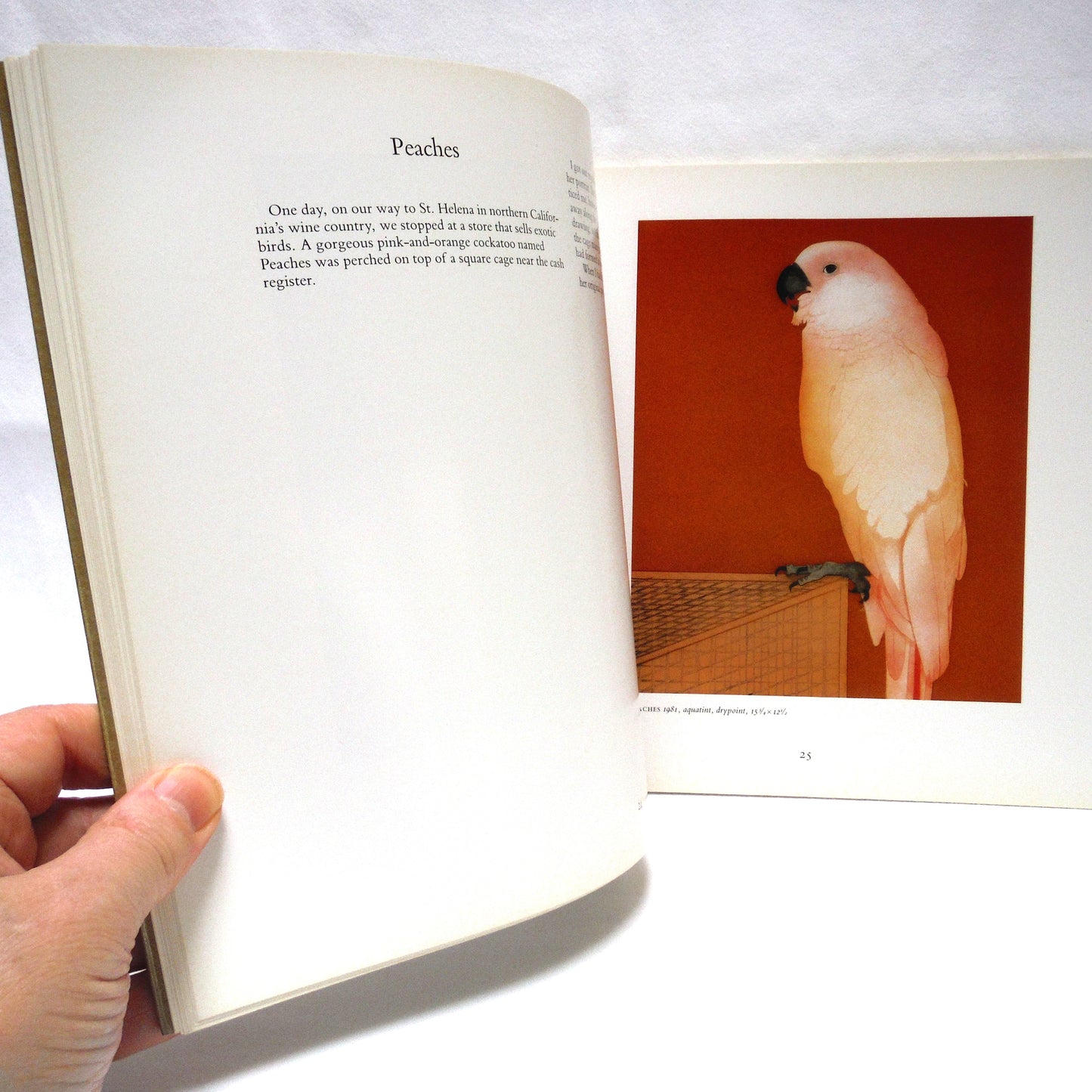 CREATURES: THE ART OF SEEING ANIMALS, Prints, Drawings, and Watercolors by Beth Van Hoesen (1987 1st Ed.)