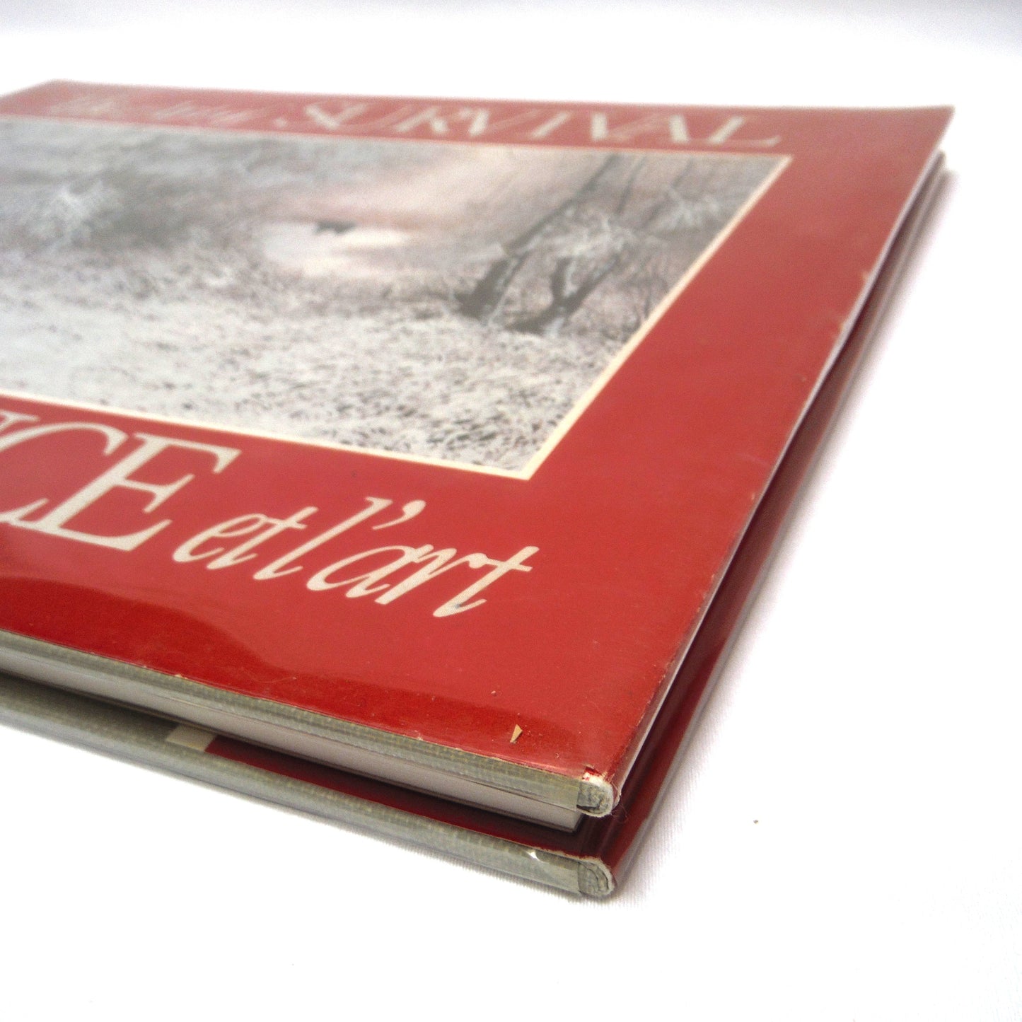 THE ART OF SURVIVAL - LA SURVIVANCE ET L'ART: Canadian Artists in Aid of Endangered Wildlife, ROM Art Exhibition Catalogue (1987 1st Ed.)