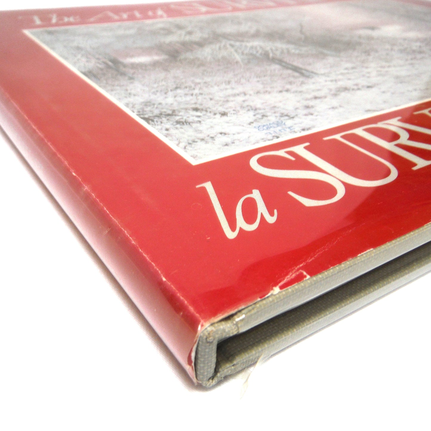 THE ART OF SURVIVAL - LA SURVIVANCE ET L'ART: Canadian Artists in Aid of Endangered Wildlife, ROM Art Exhibition Catalogue (1987 1st Ed.)