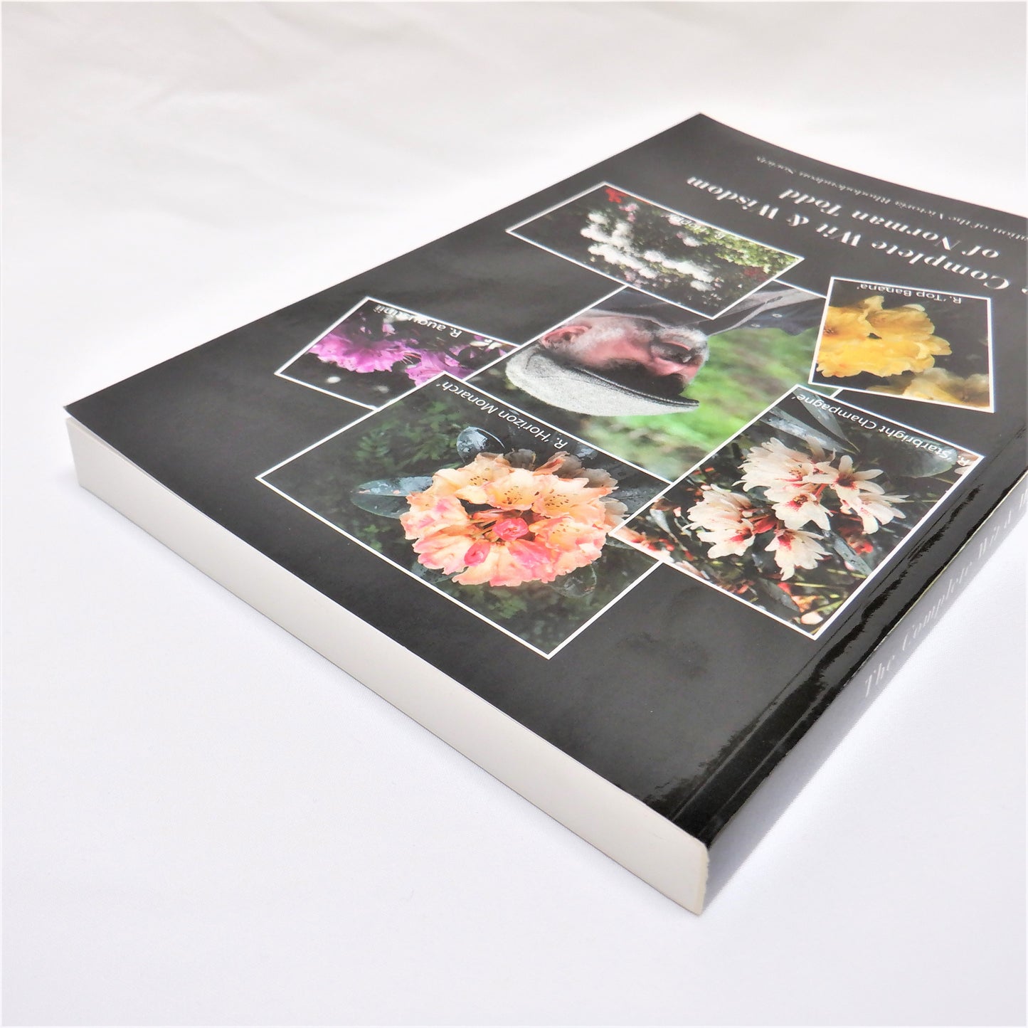 THE COMPLETE WIT & WISDOM OF NORMAN TODD, by The Victoria Rhododendron Society (1st Ed. SIGNED)