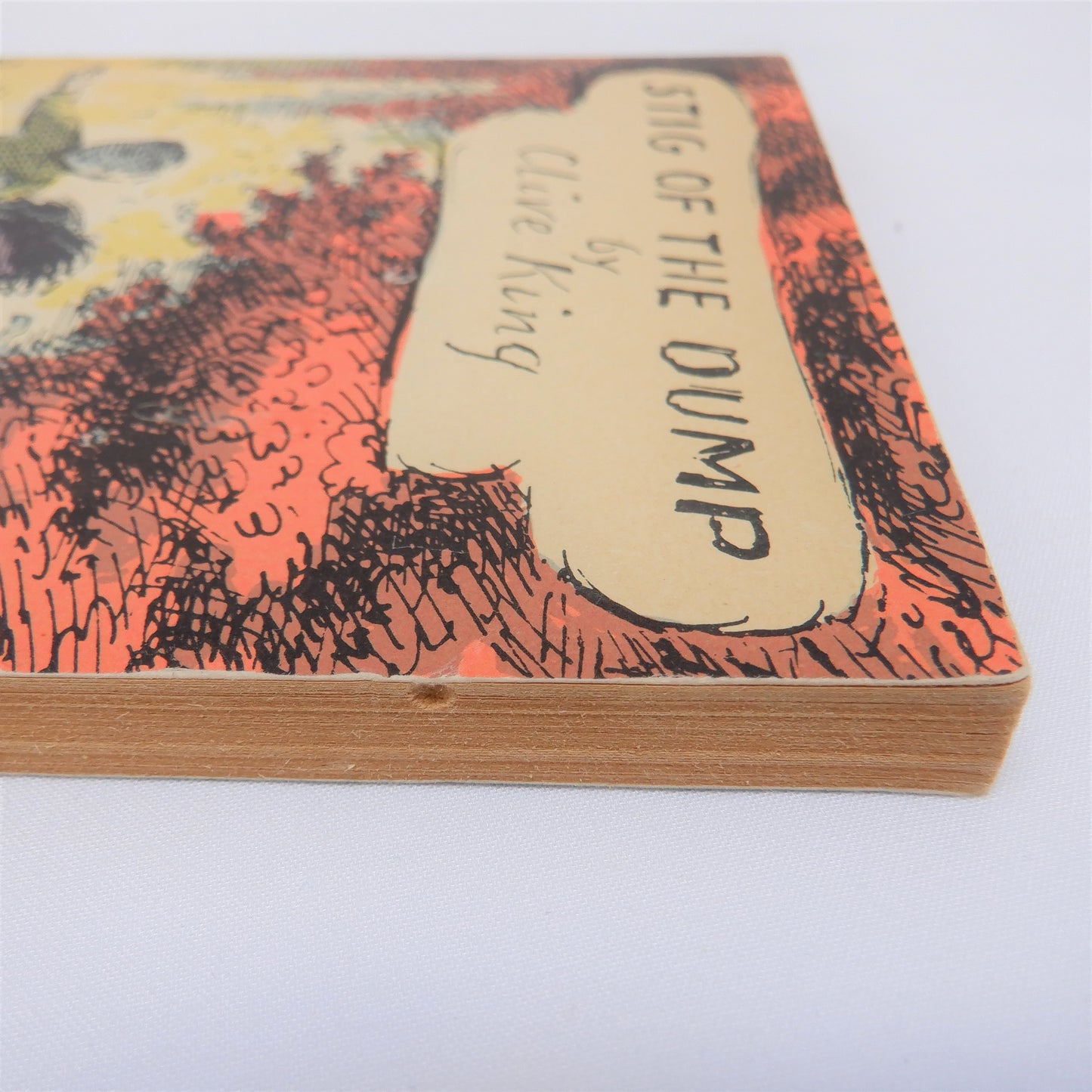 STIG OF THE DUMP, A Young Reader Adventure by Clive King, 1963