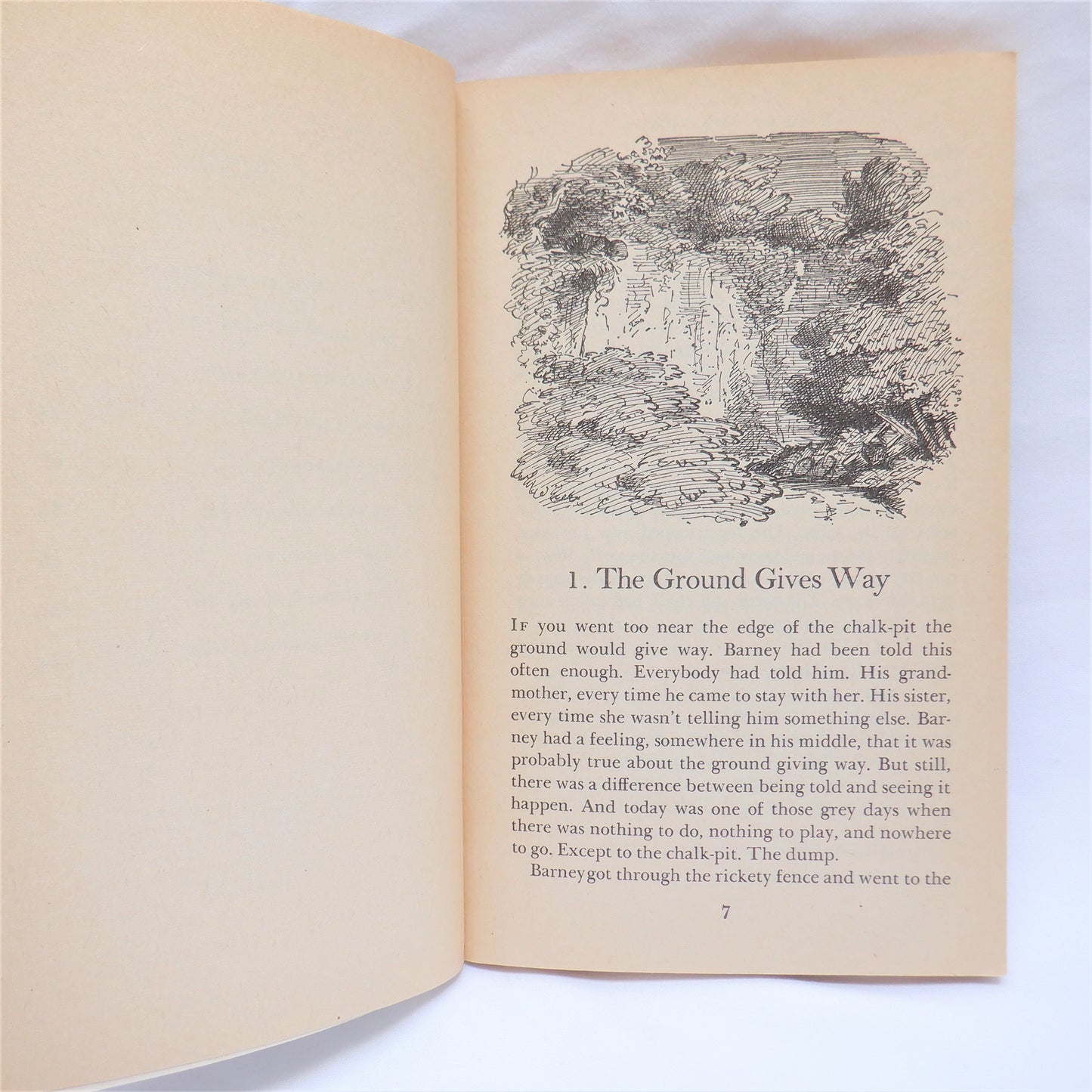 STIG OF THE DUMP, A Young Reader Adventure by Clive King, 1963