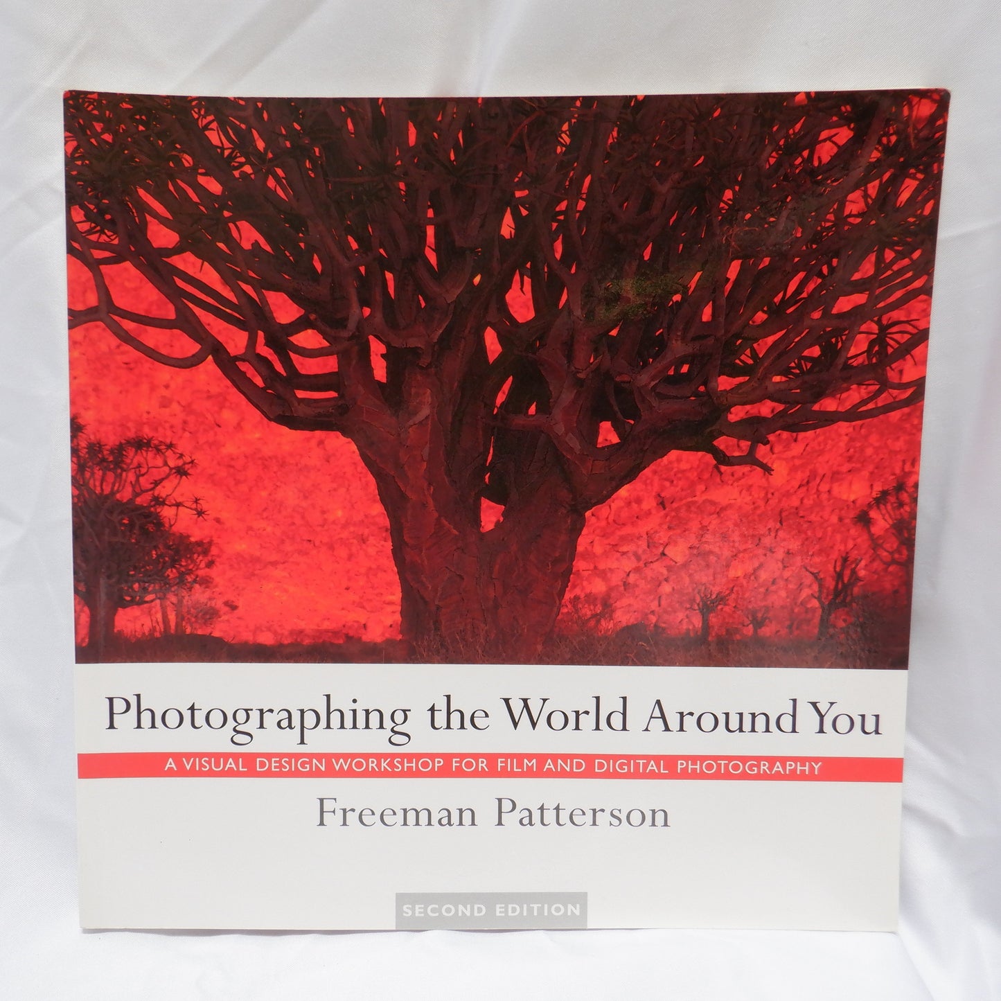 Photographing The World Around You, by FREEMAN PATTERSON, 2004