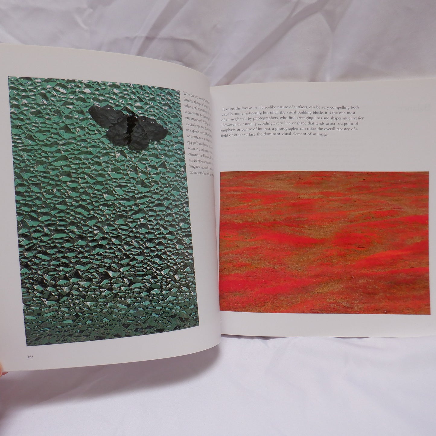 Photographing The World Around You, by FREEMAN PATTERSON, 2004
