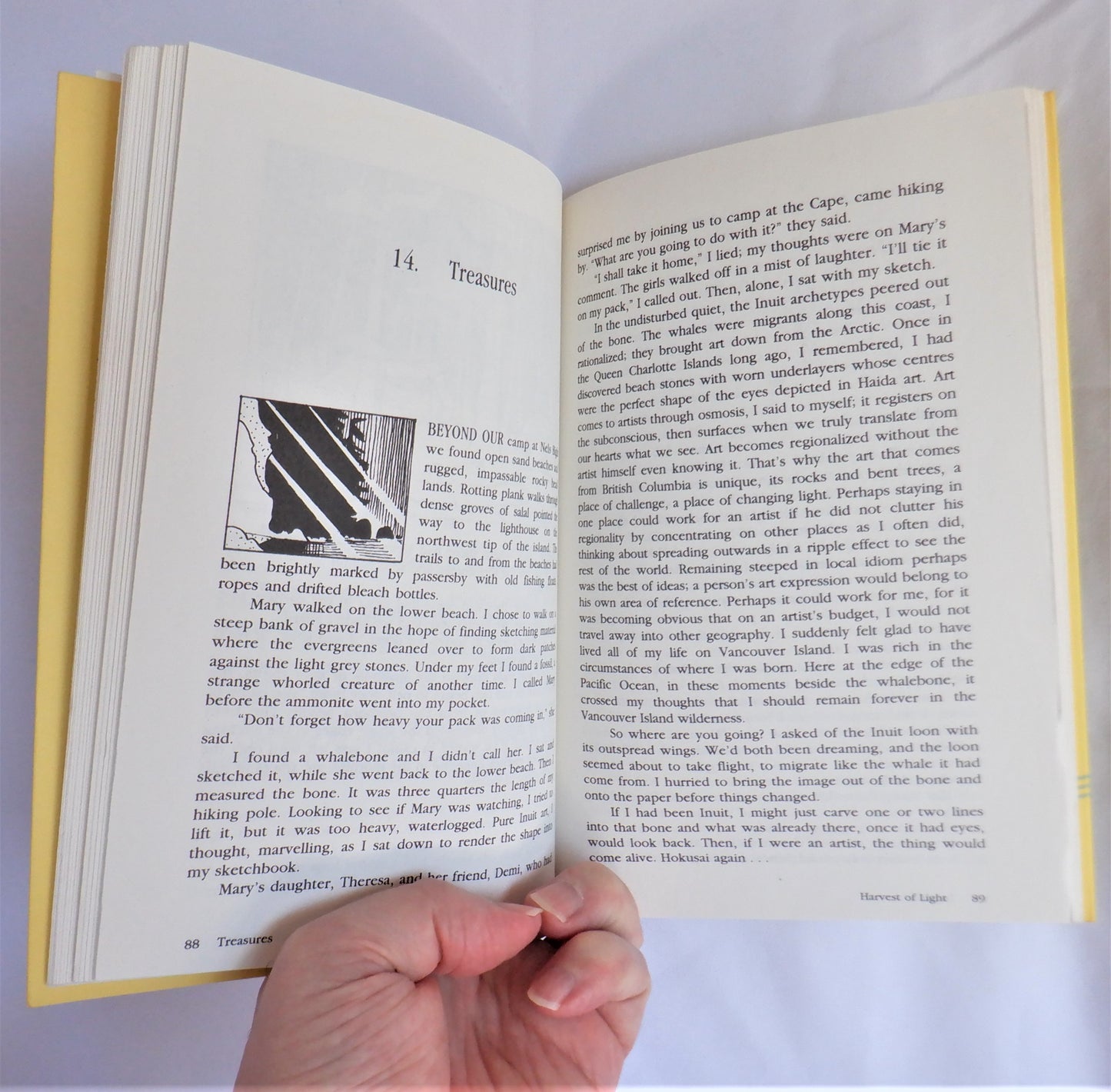 HARVEST OF LIGHT, An Artist's Journey, by Stephanie Quainton Steel (1st Ed. SIGNED)