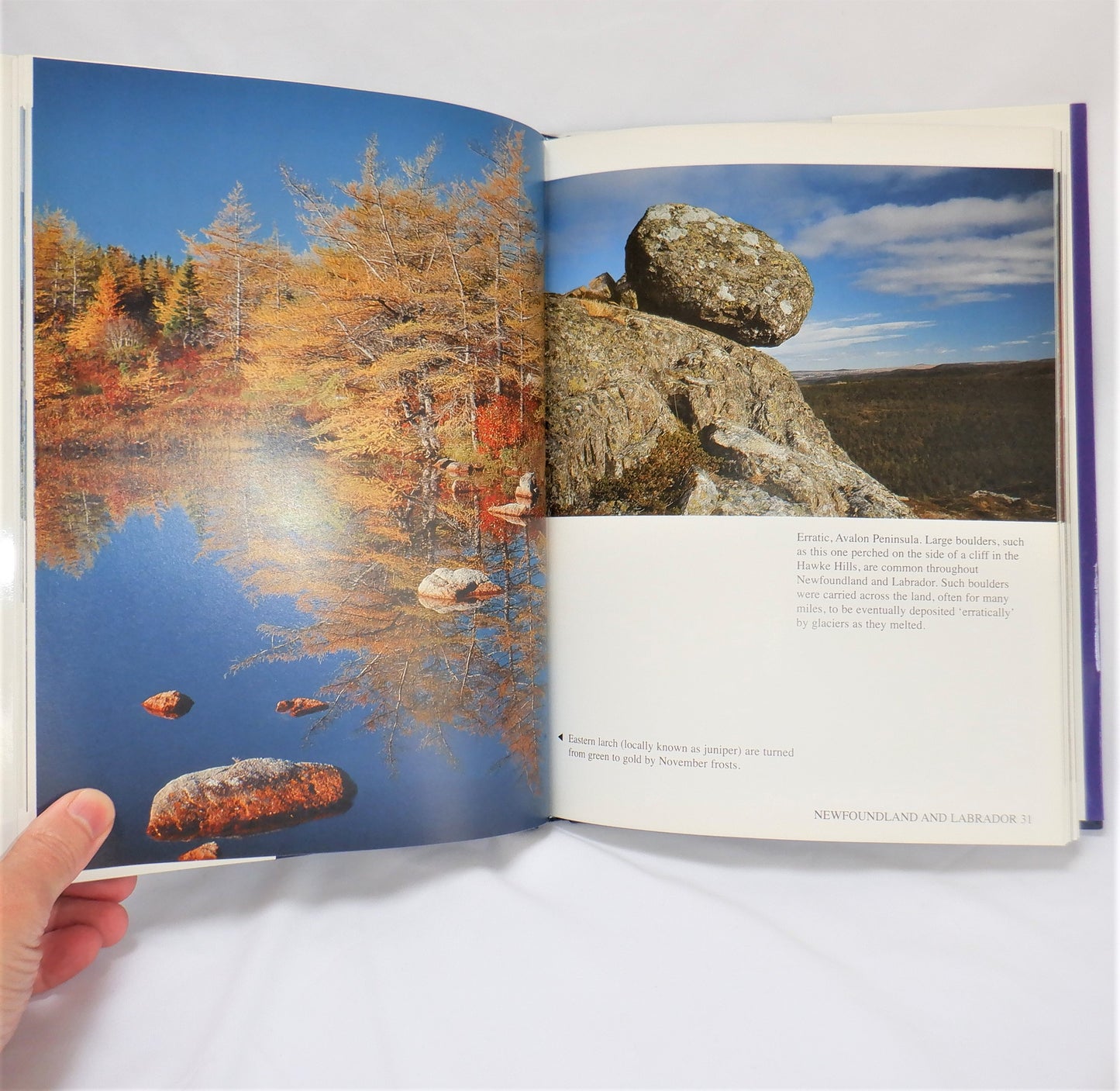 NEWFOUNDLAND and LABRADOR, A Photographic Tribute by Brian C. Bursey (1st Ed. SIGNED)